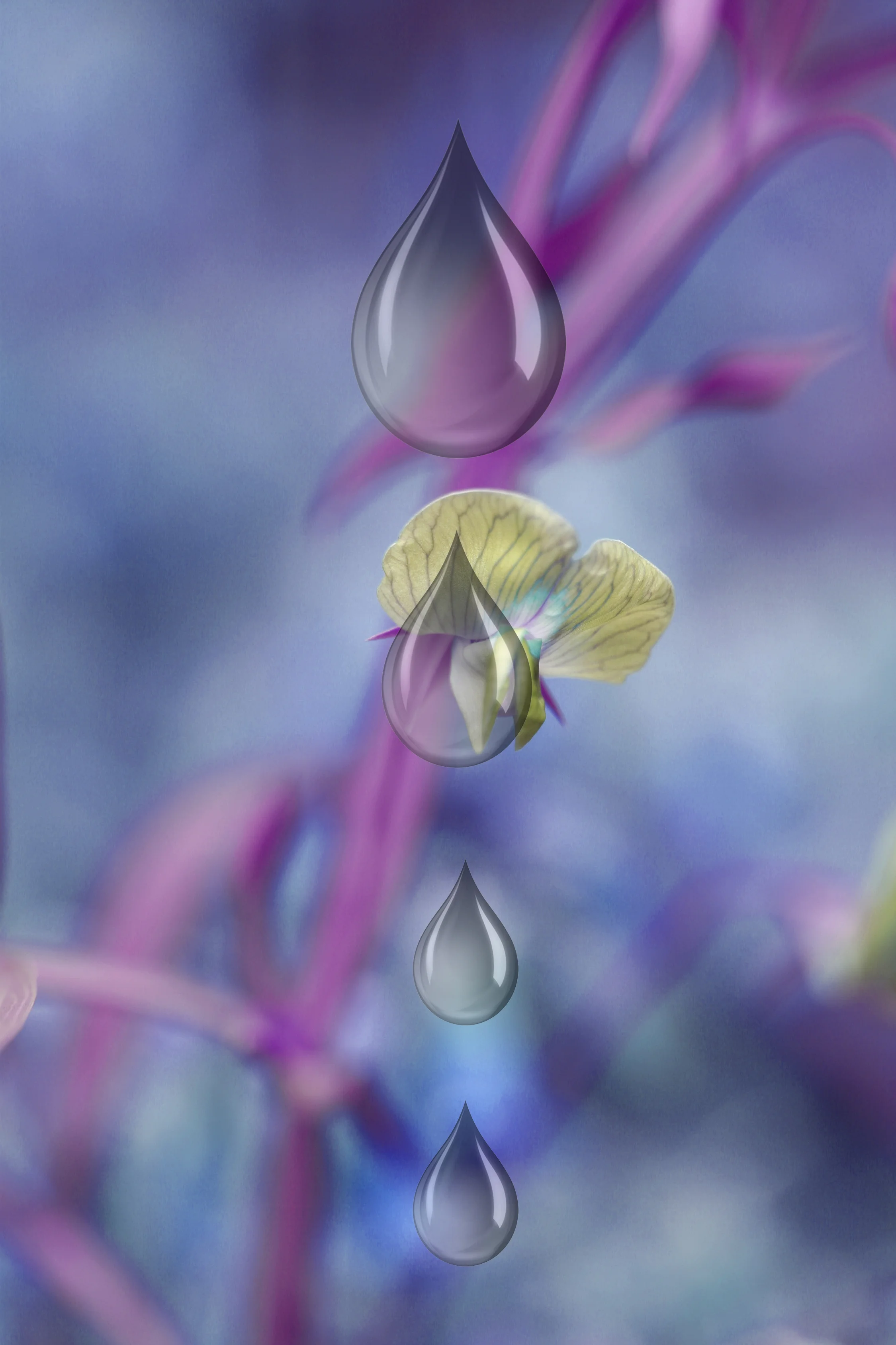 Lavender-oil.jpg