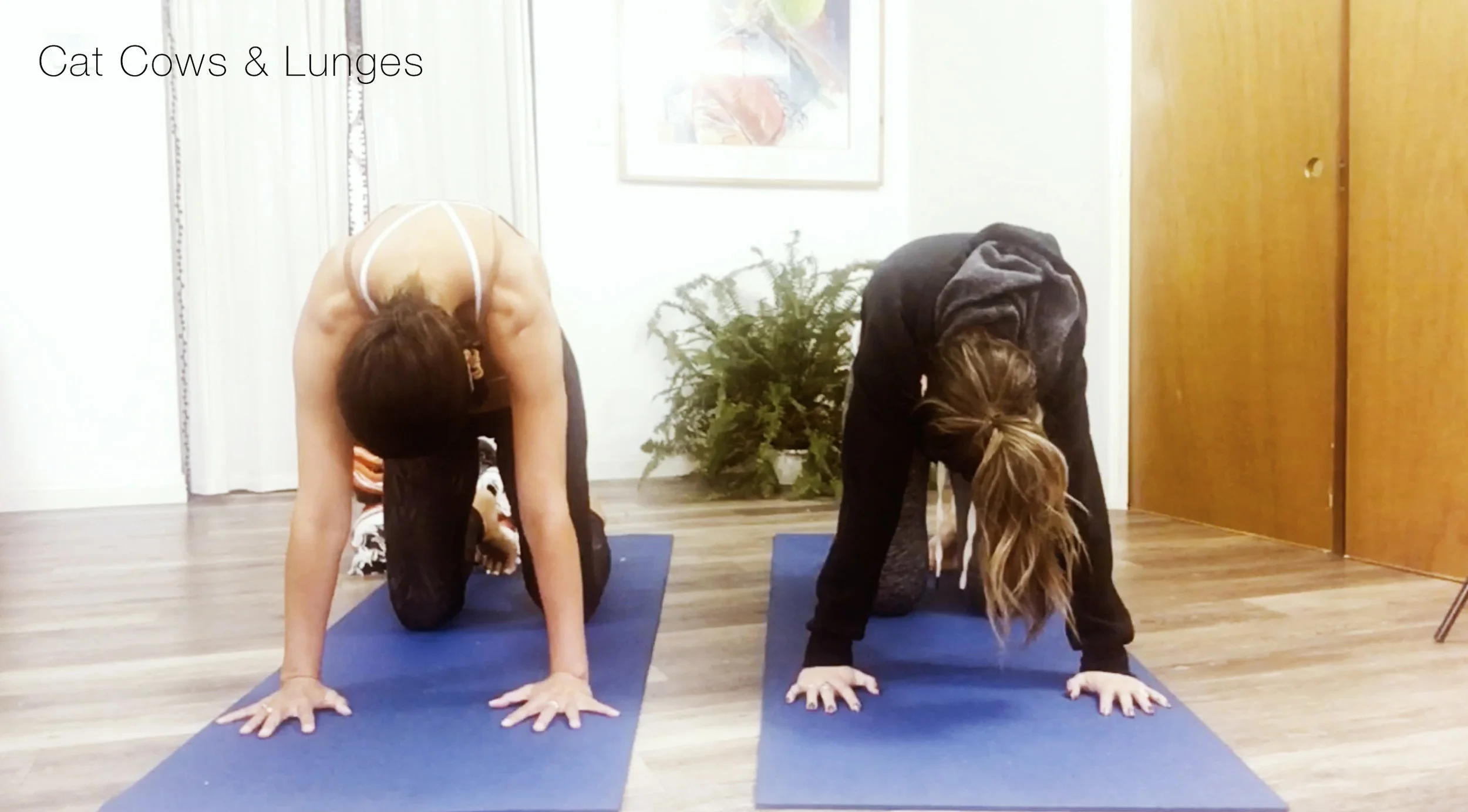 CatCows_Lunges.jpg