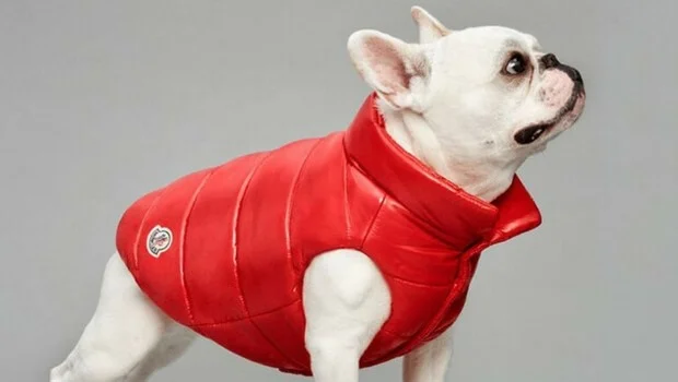 P U F F Y B O Y E 