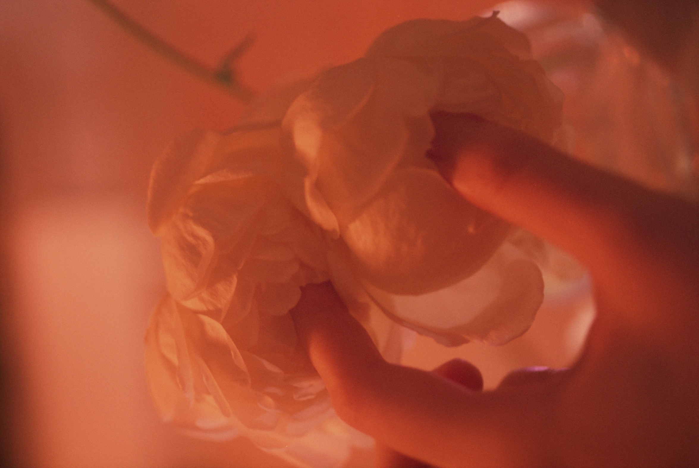 1532713626465-li_hui_05.jpeg