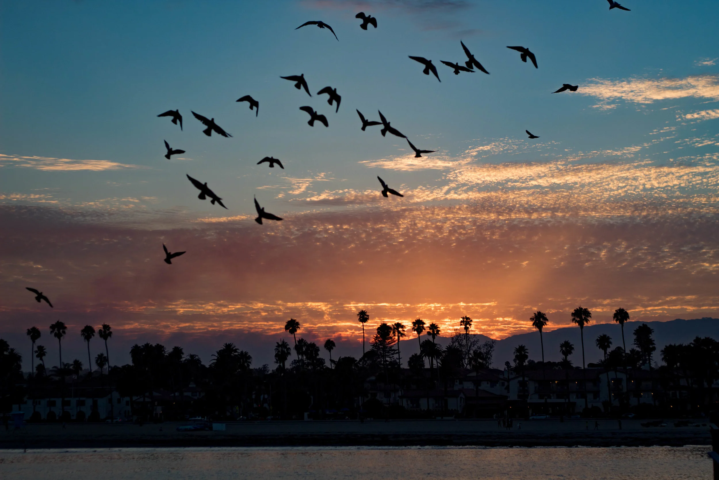 Stearns Wharf, Santa Barbara