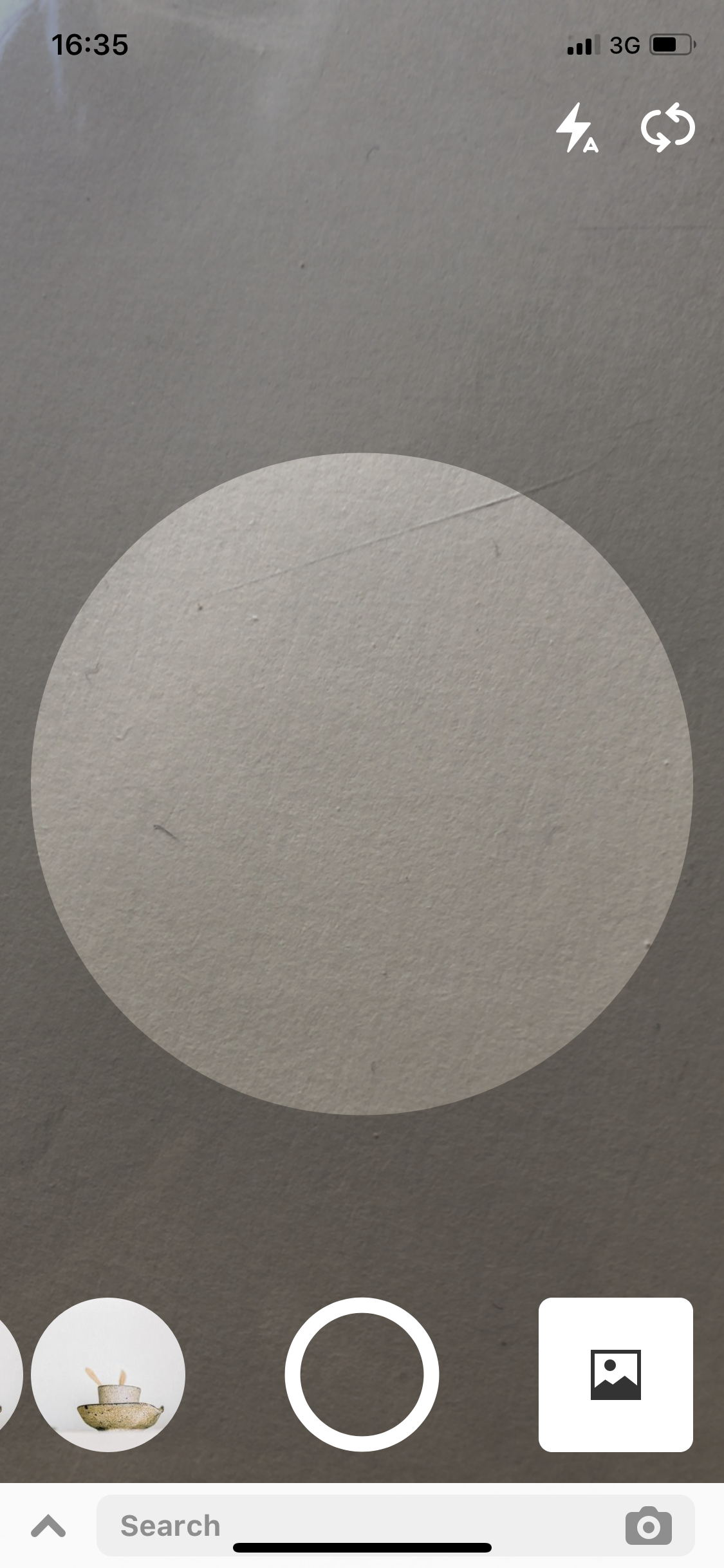 Screenshot of the Pinterest Lens tool camera function