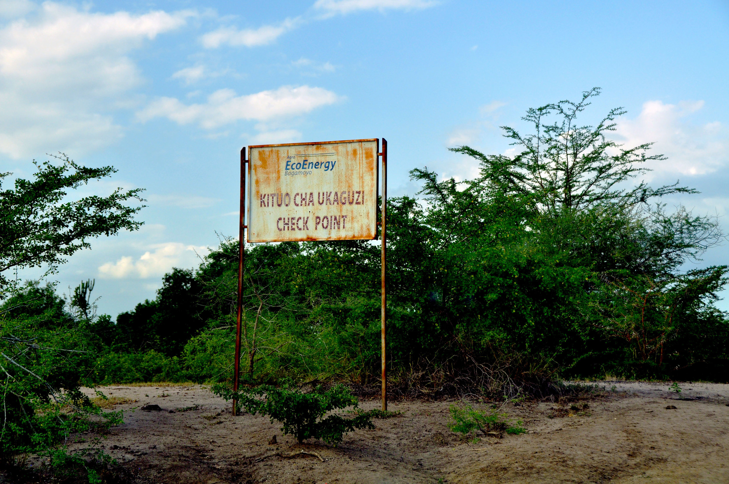 dsc_1753.jpg