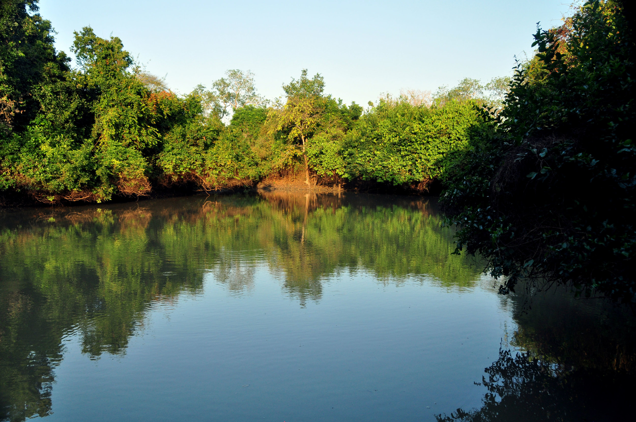 dsc_2166.jpg
