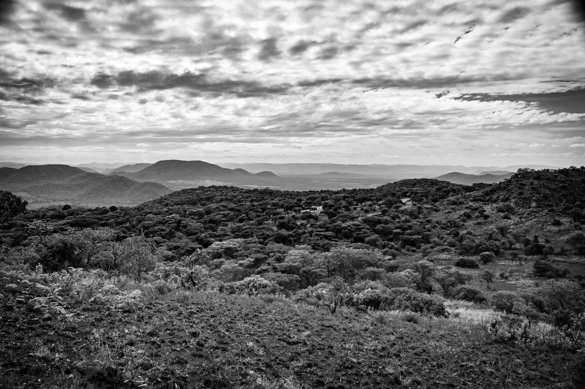 DSC_0059-3.jpg