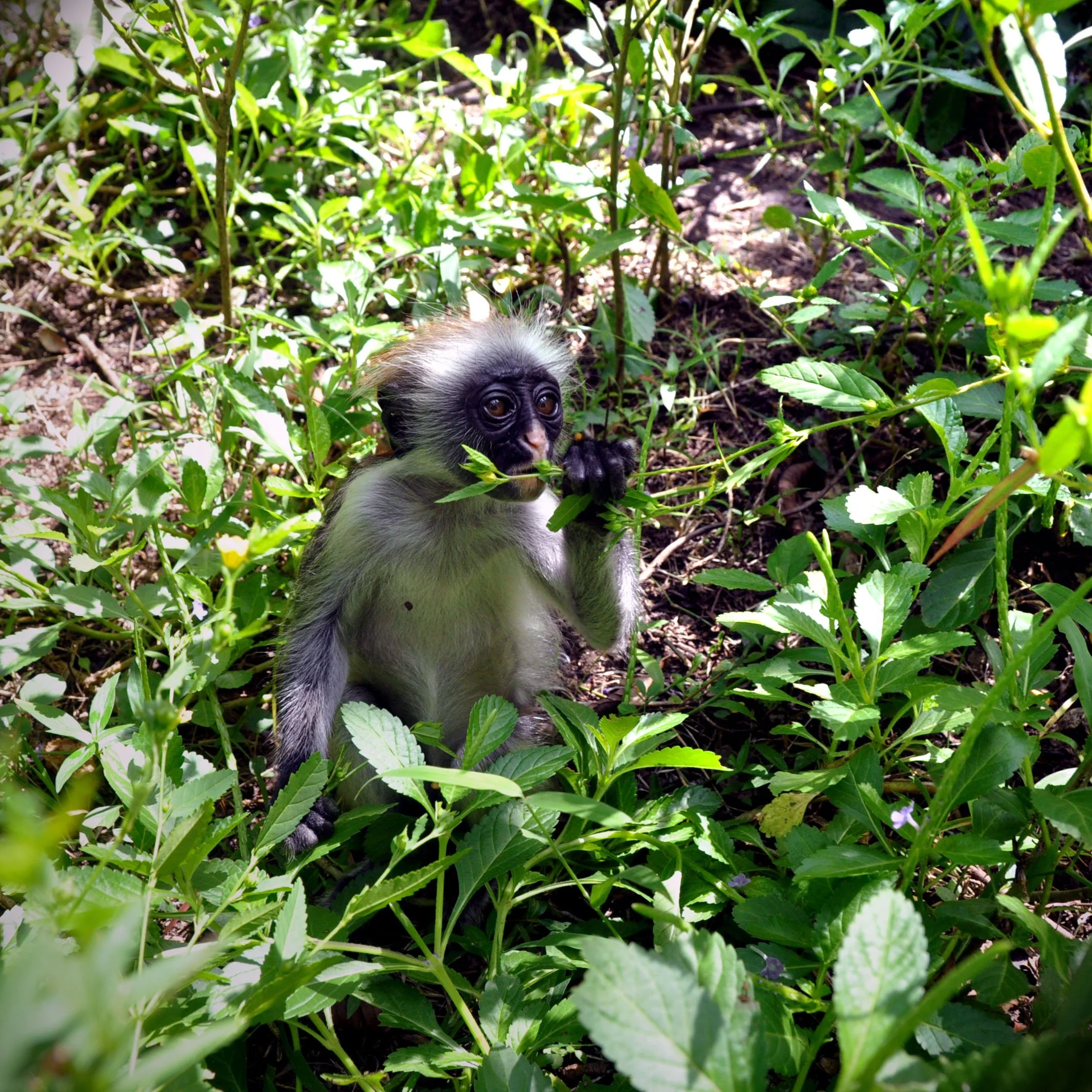 DSC_92752.jpg
