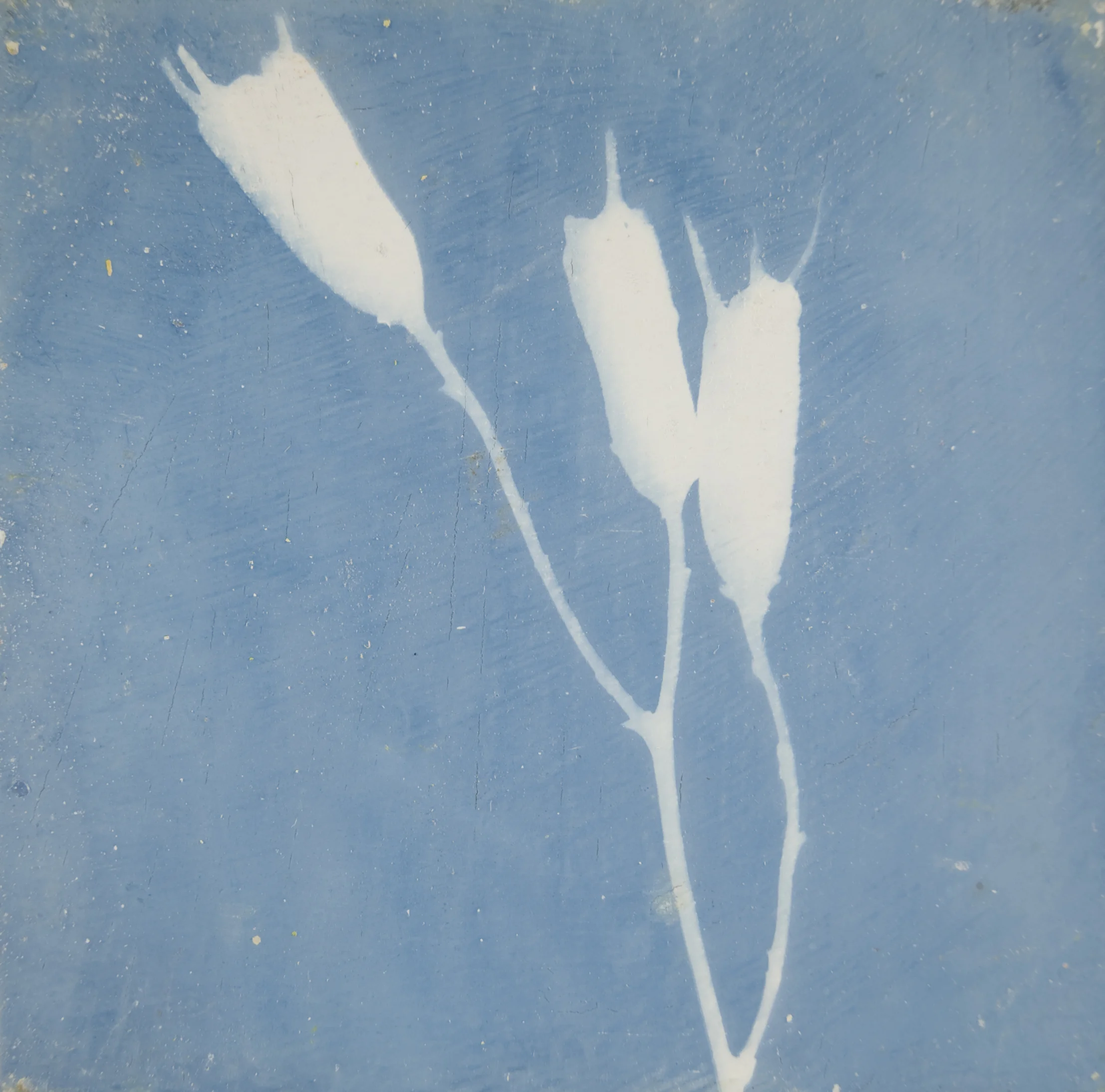 Relic Prairie: stick leaf manzonite