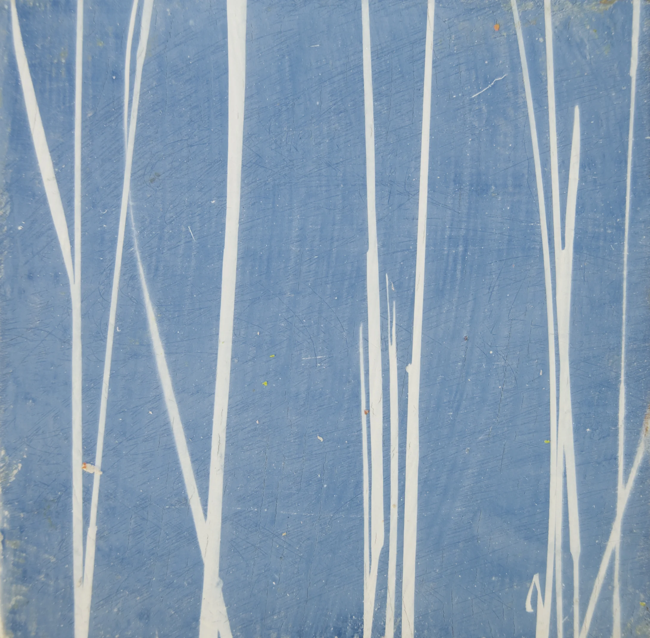 Relic Prairie: big bluestem