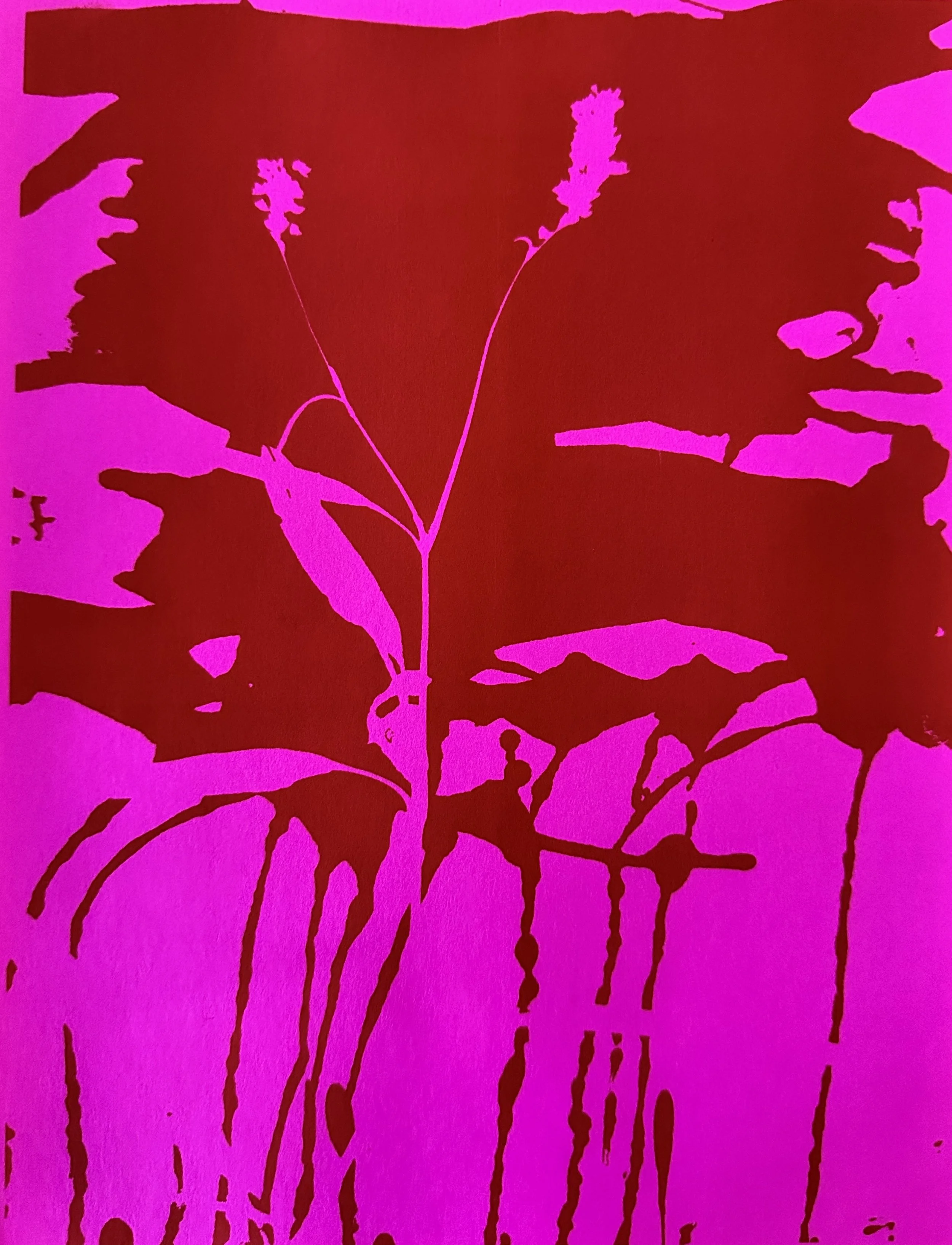 Unknown-4.jpeg