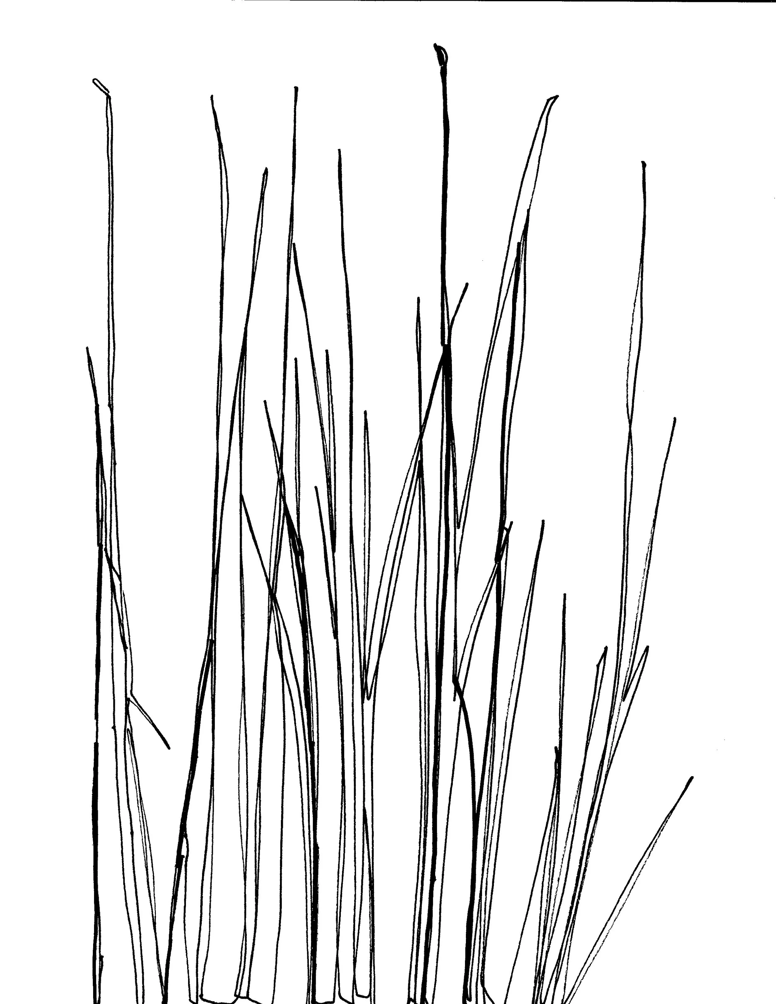 Scan 4.jpeg