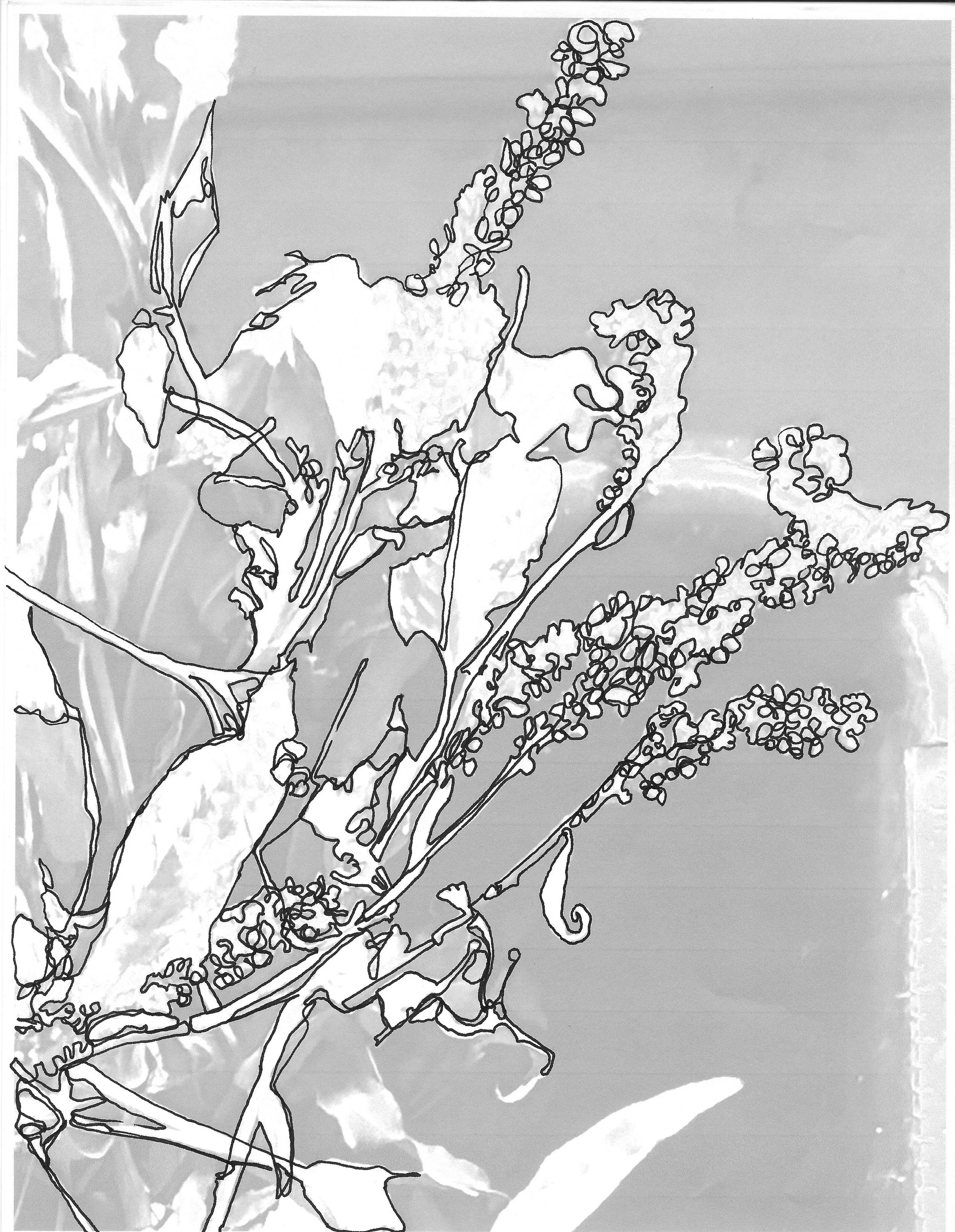 Scan 8.jpeg