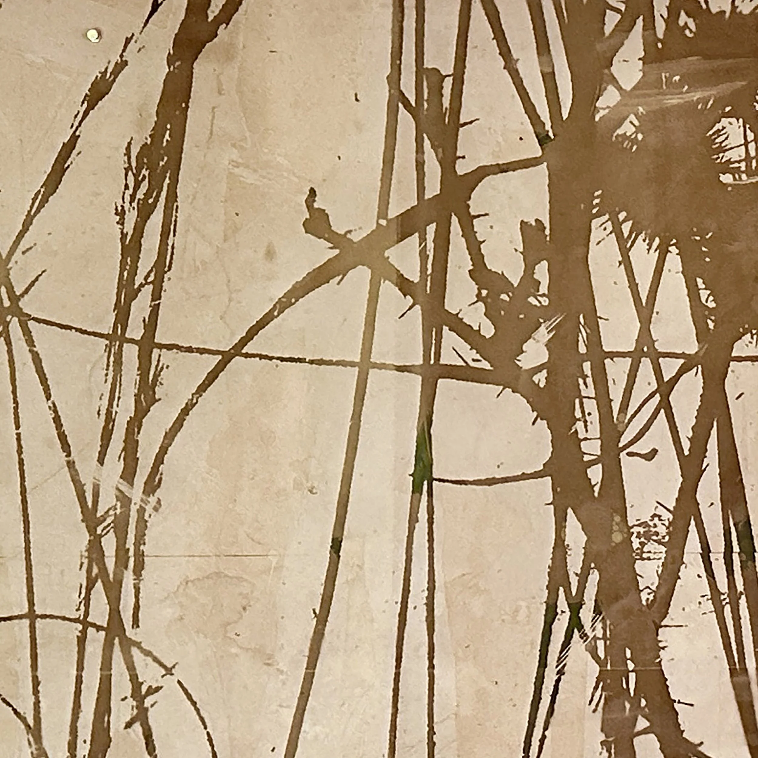 Unknown-1 copy 12.jpeg