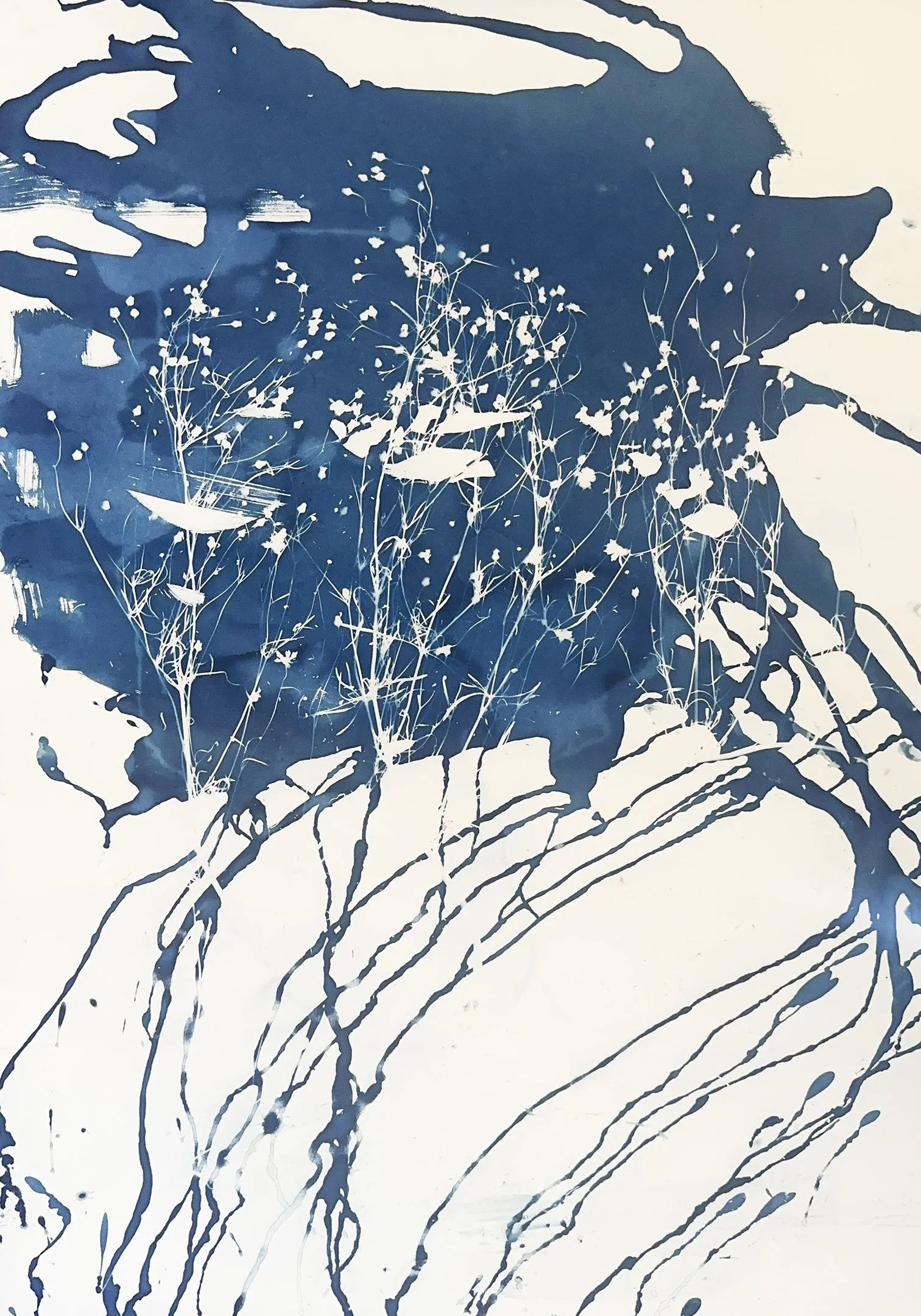 IMG_4370 copy 3.JPEG