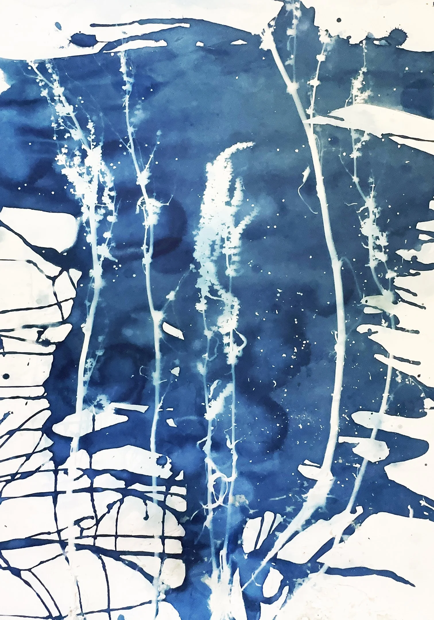 IMG_4344 copy 3.JPEG