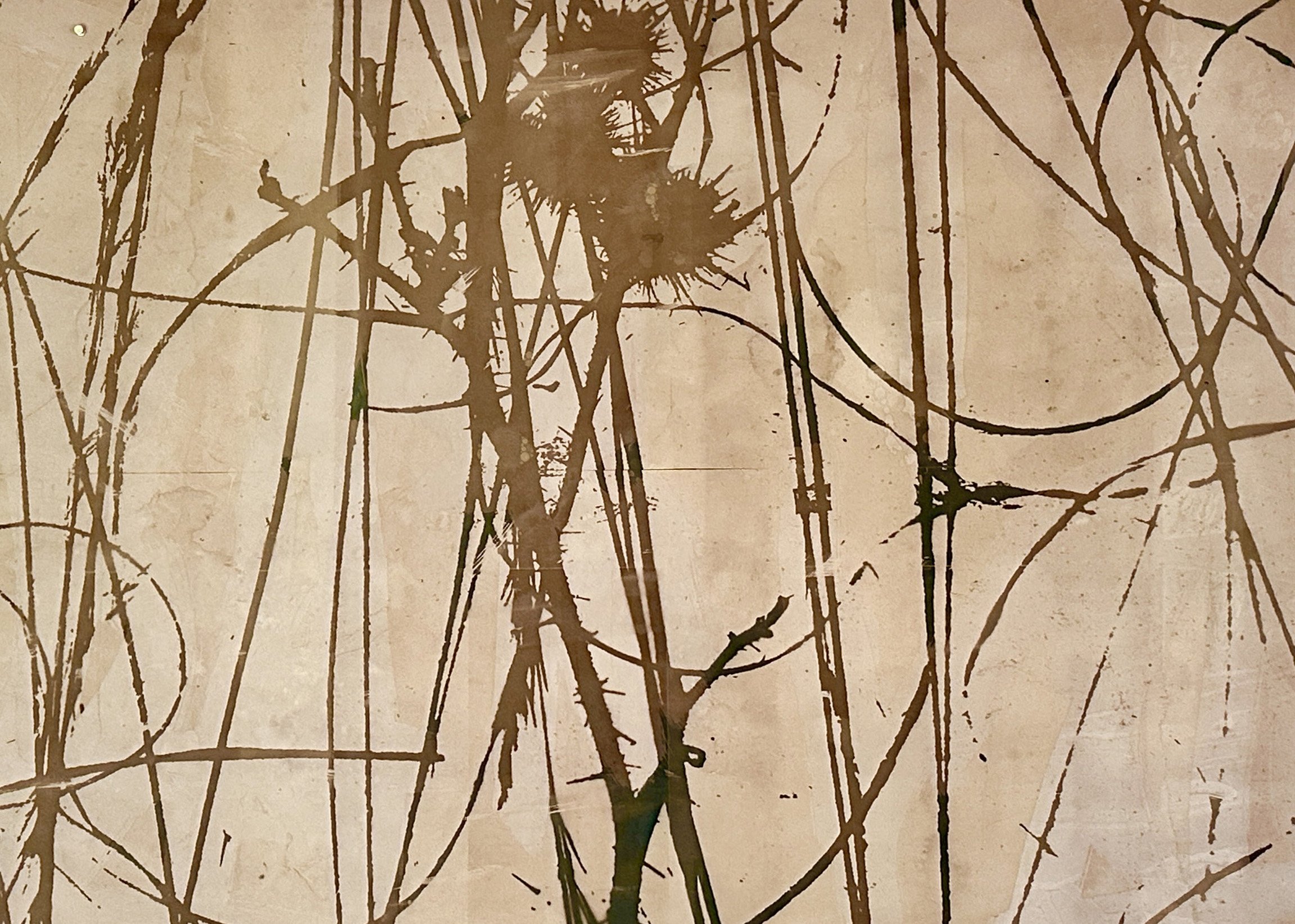 Unknown-1 copy 11.jpeg