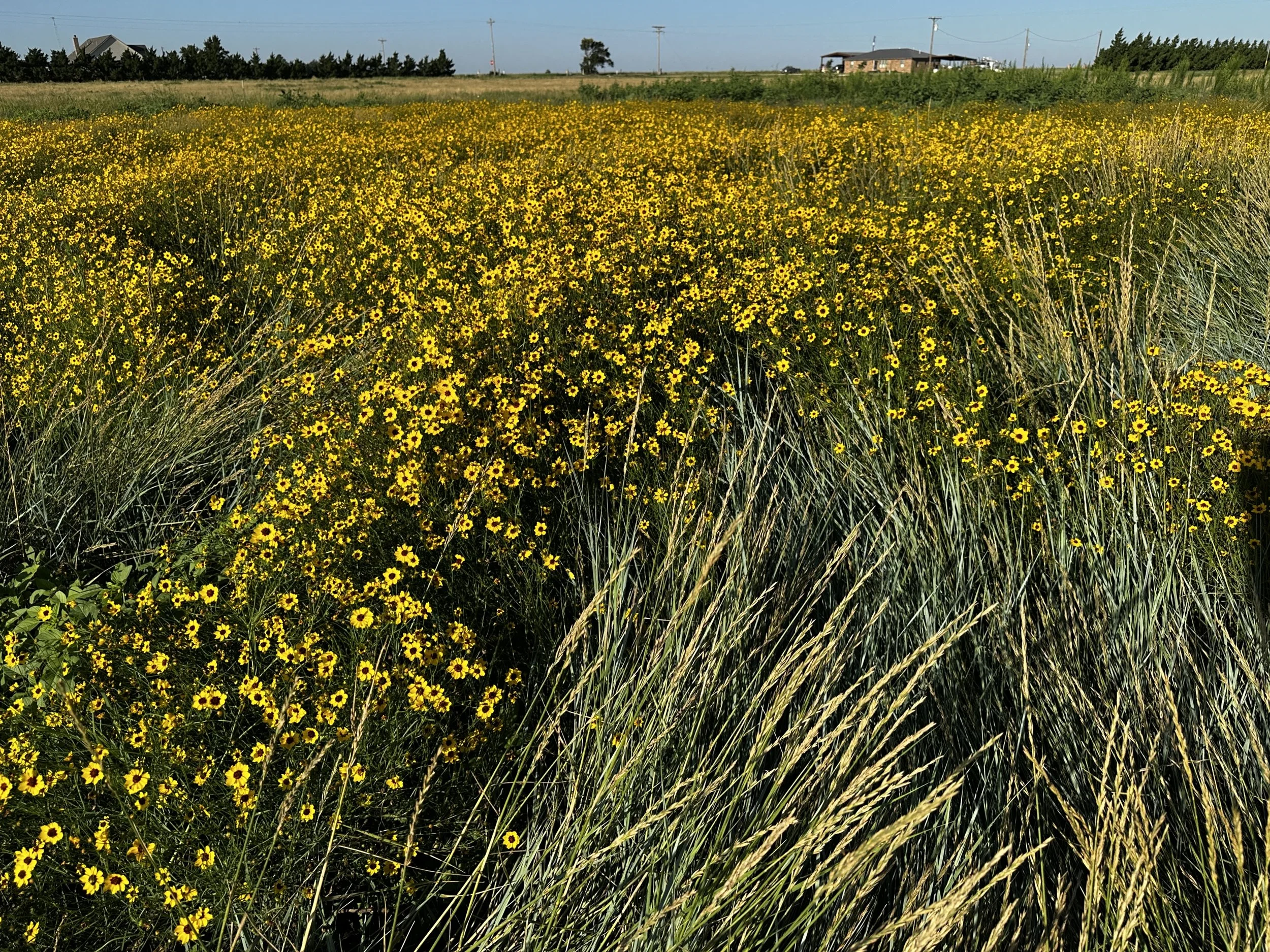 Nazareth july 20 2025.jpeg