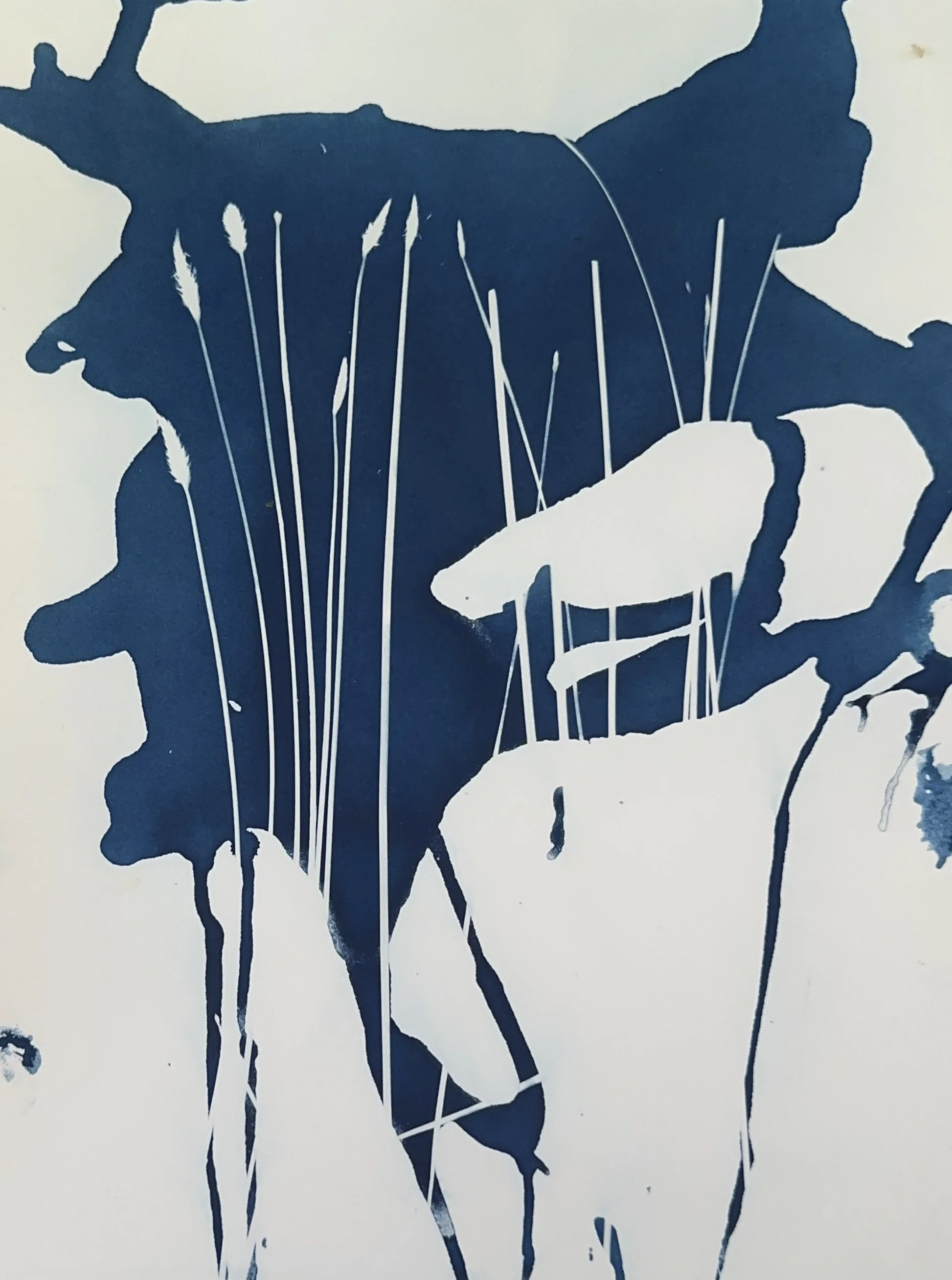 12x9 Stock: Plains Coreopsis