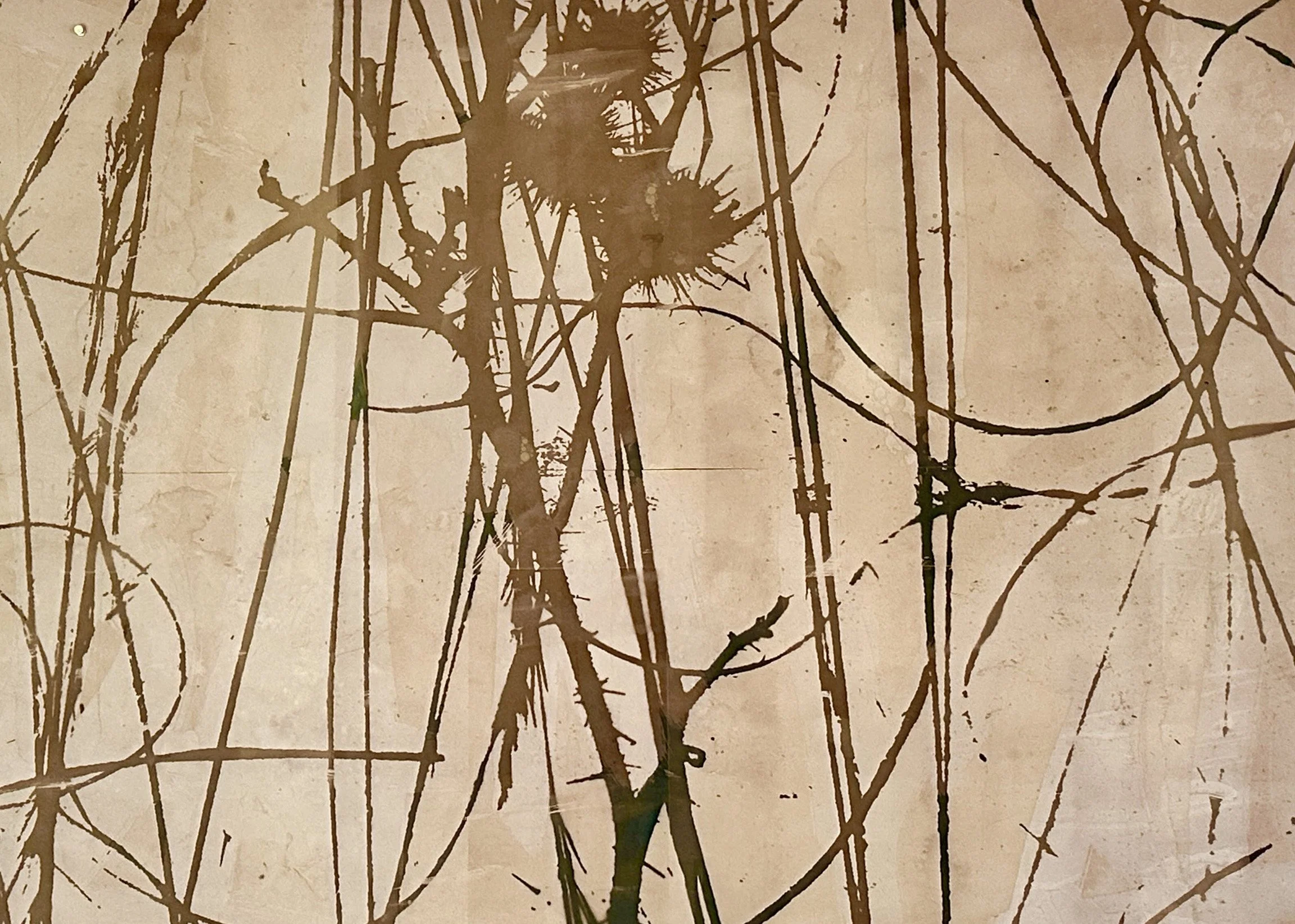 Unknown-1 copy 11.jpeg