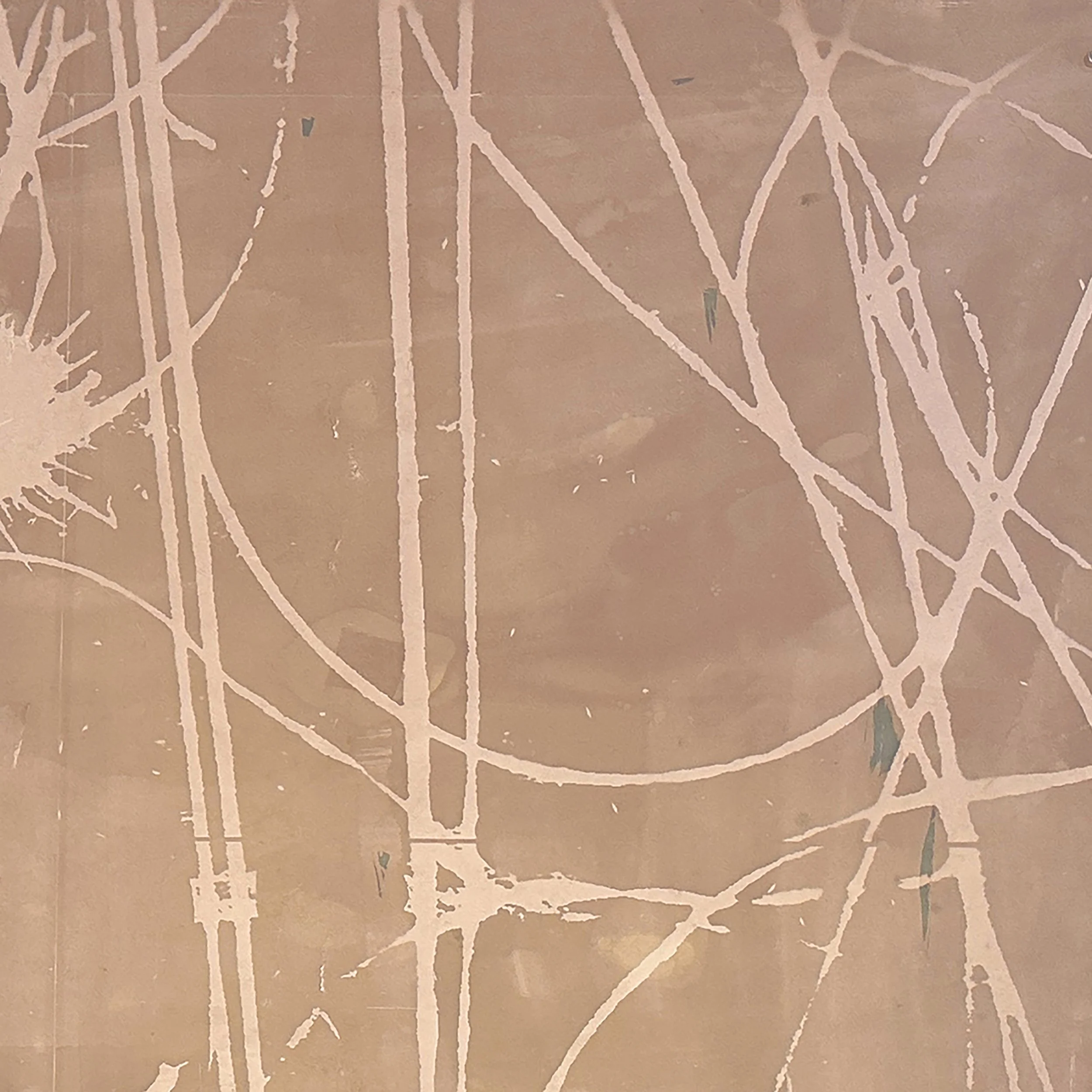 Big Bluestem and mixed grasses 01 copy.jpeg