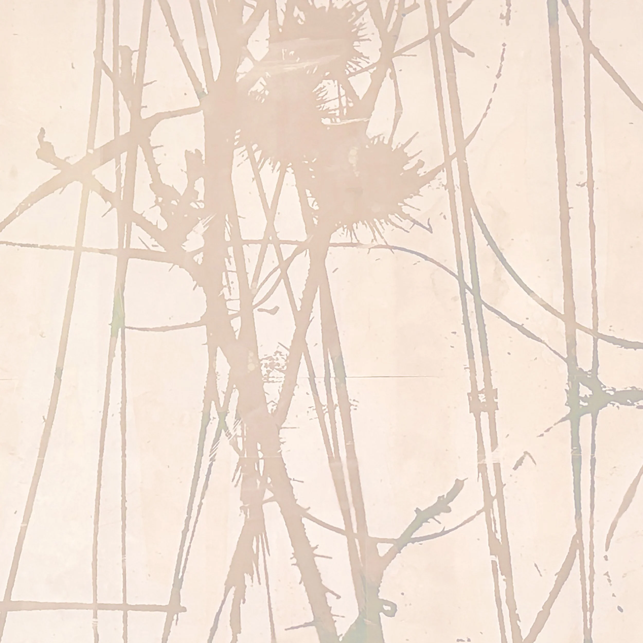 Cocklebur and mixed grasses 02.jpeg