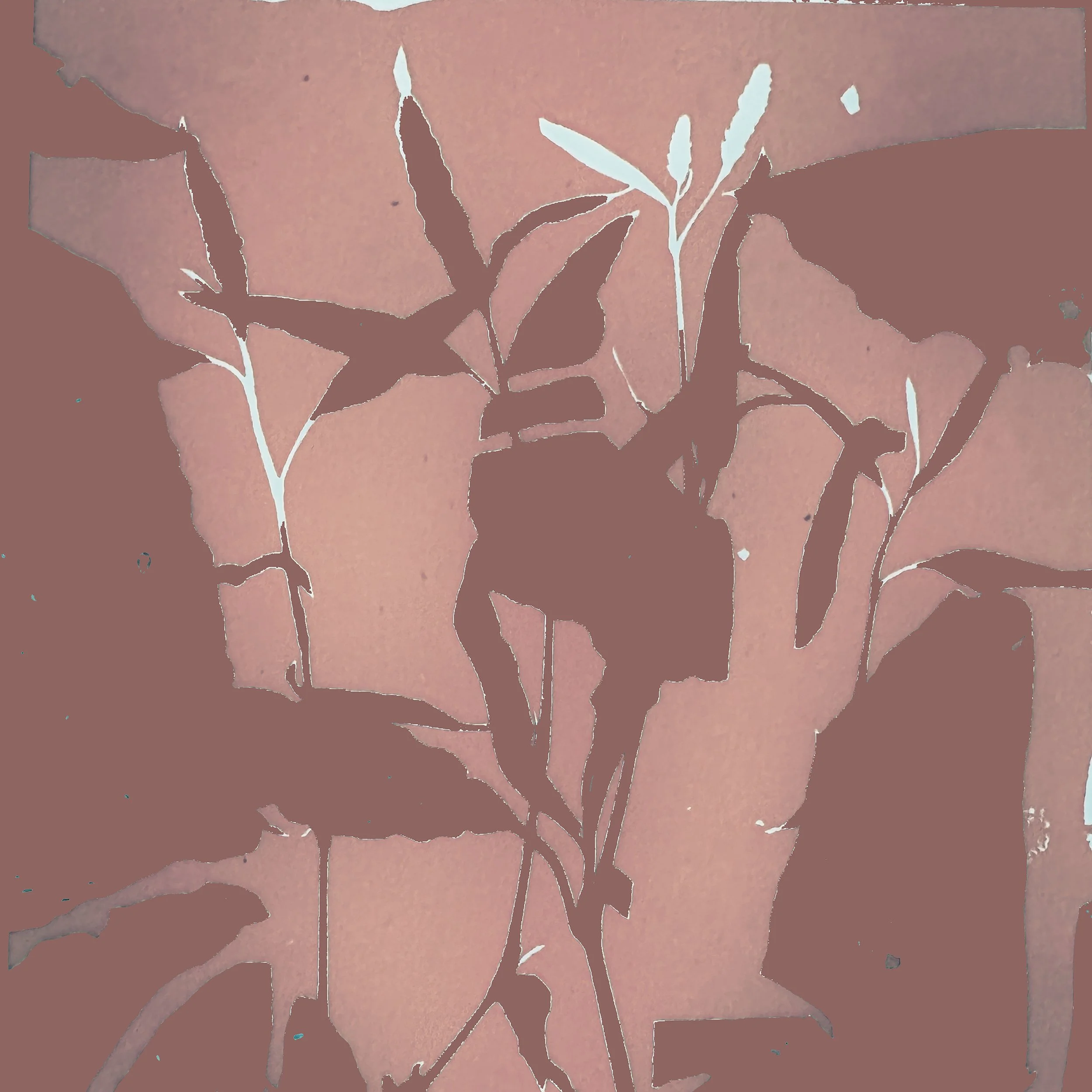 Pink Smartweed 0002.jpeg