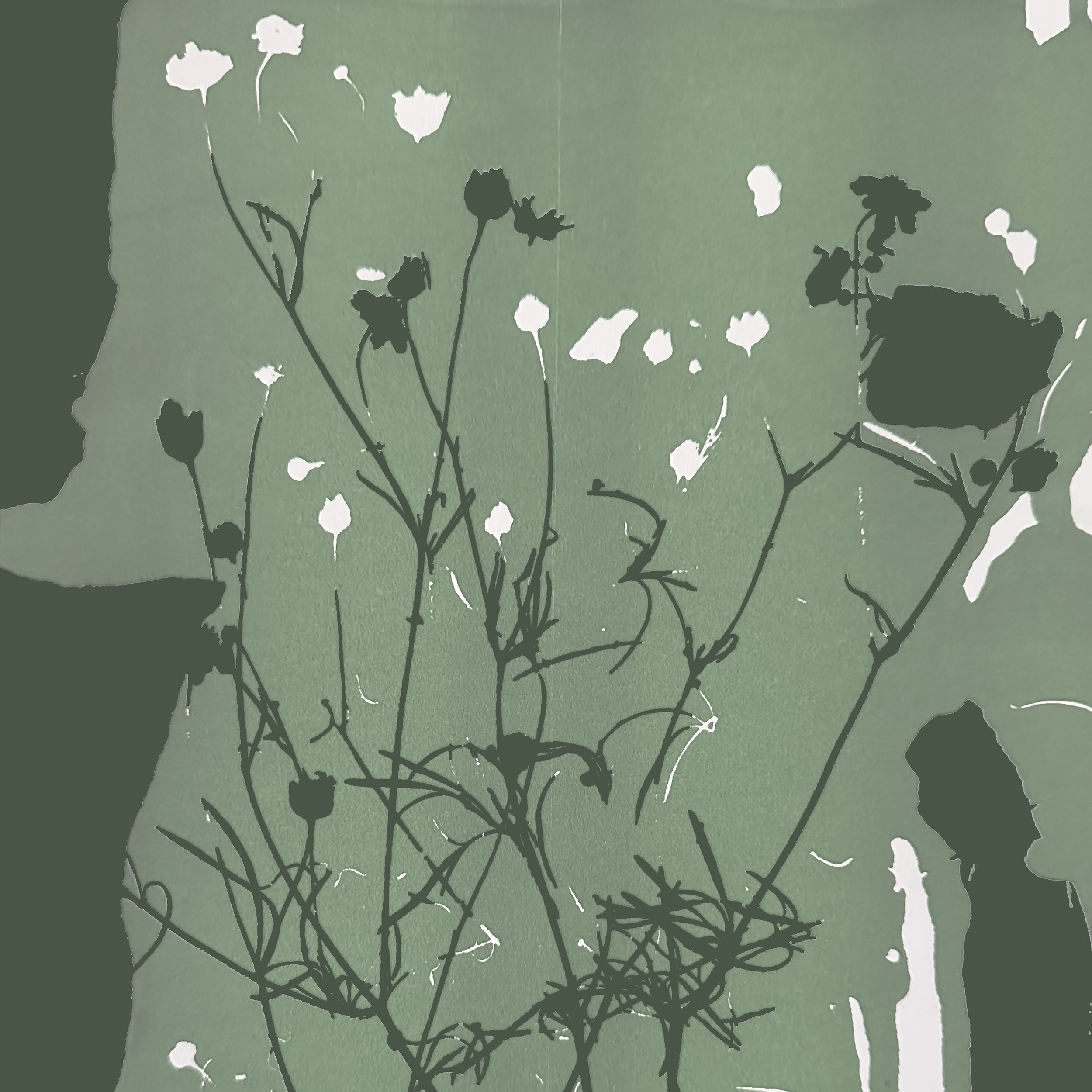 Plains Coreopsis 01.jpeg