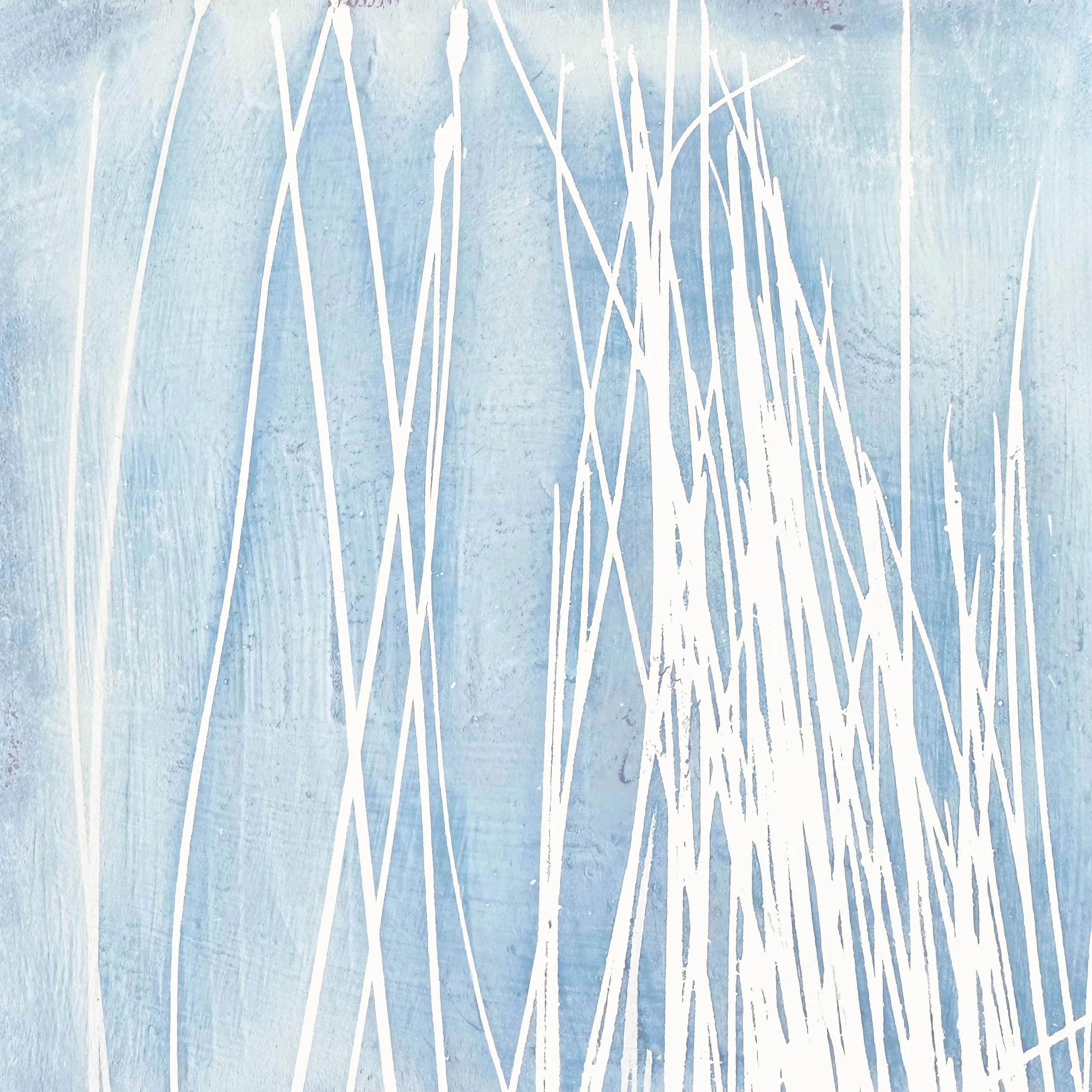 Spike Rush 03 copy.jpg