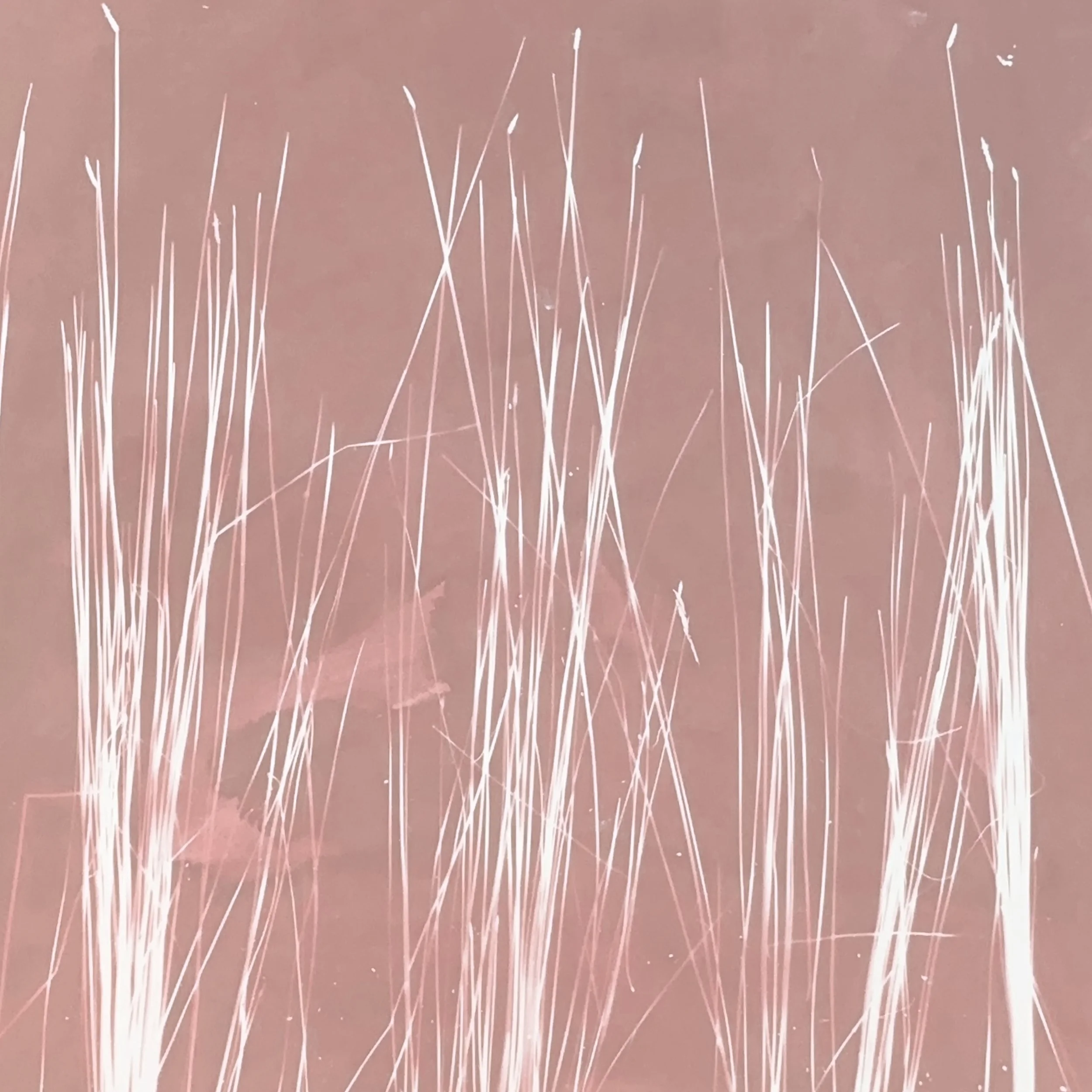 Spike Rush 02 copy.JPEG