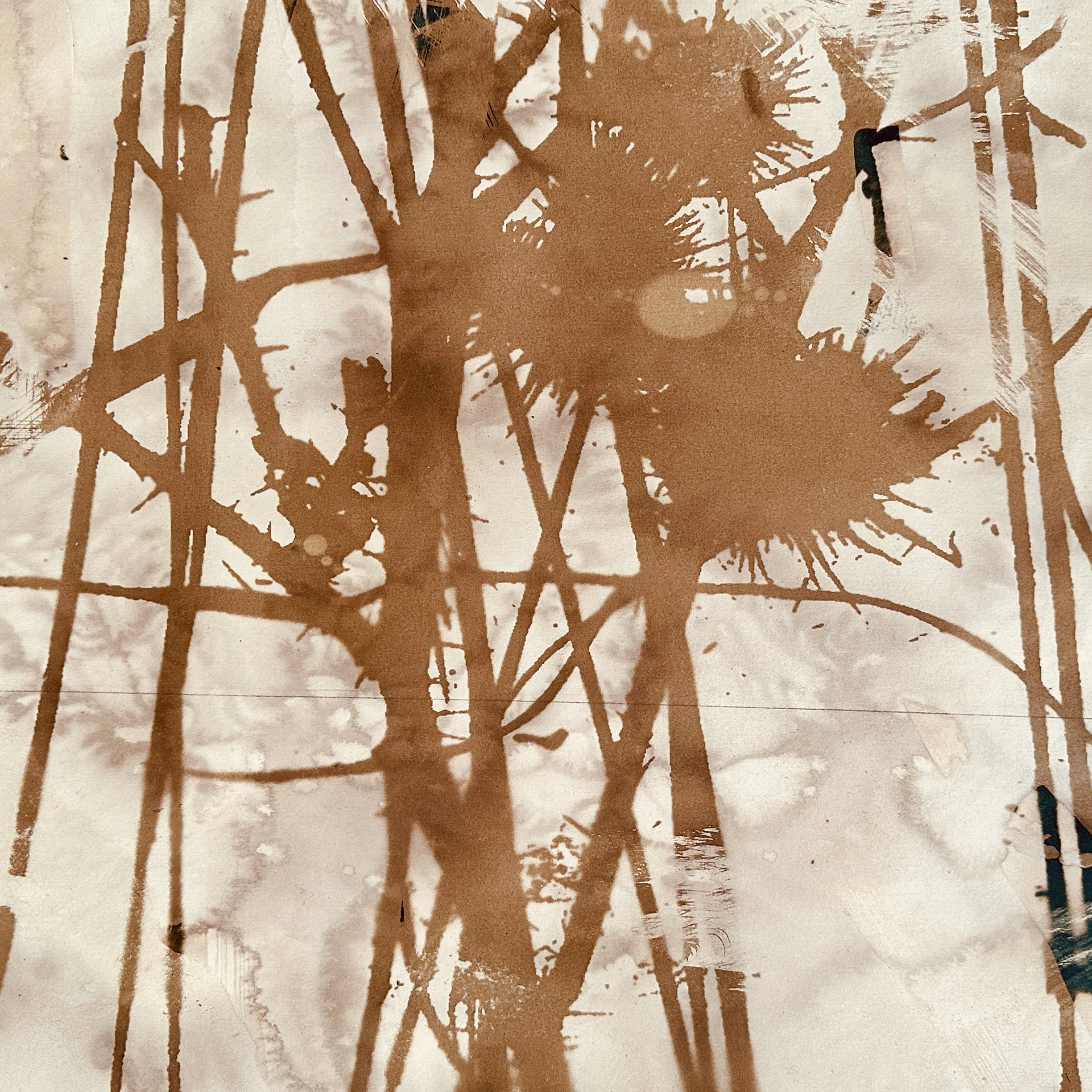 Grassland mixed.jpeg