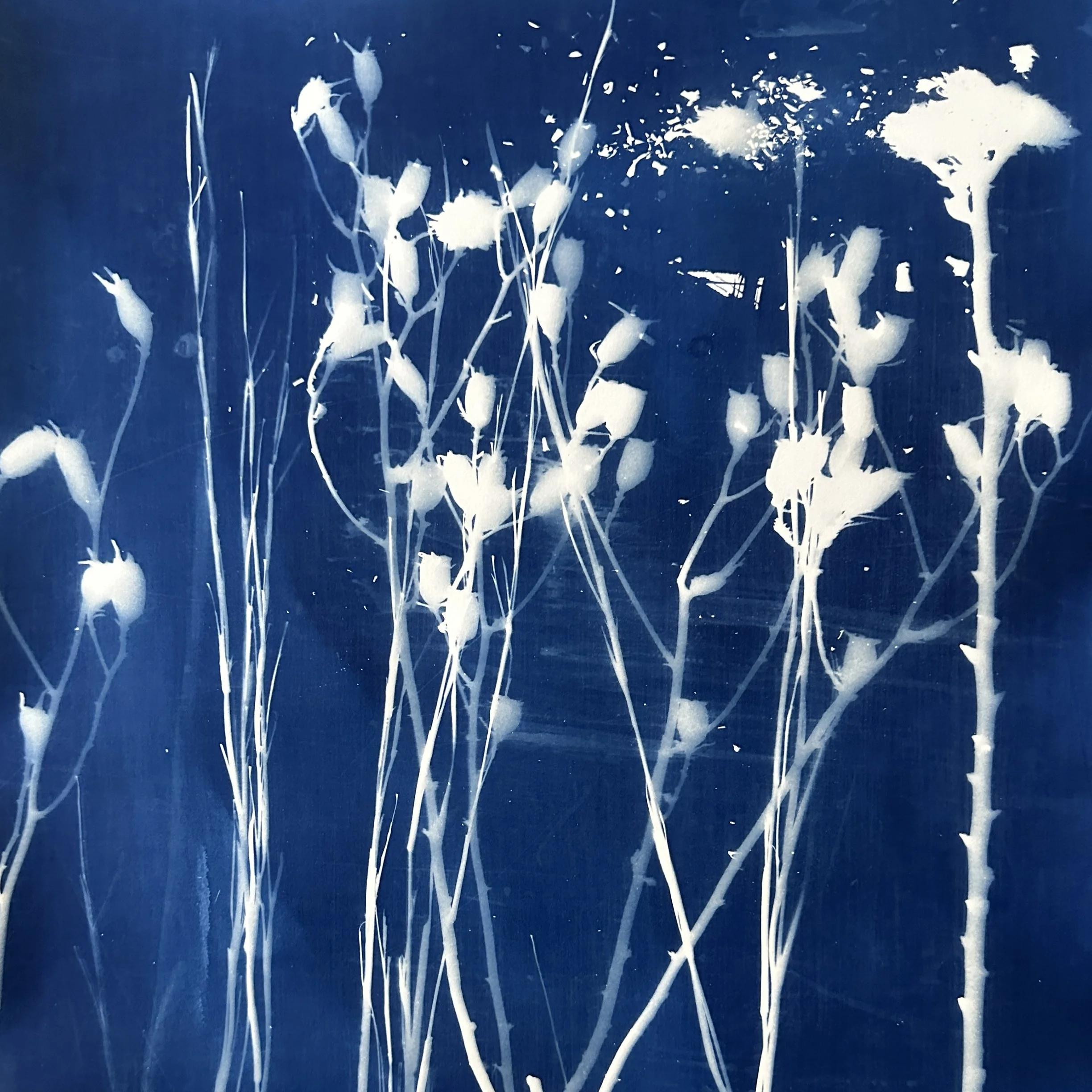 Mixed Grasses Indigo.jpeg