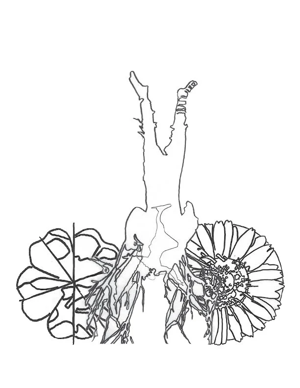 Upside down planted naturre.jpg