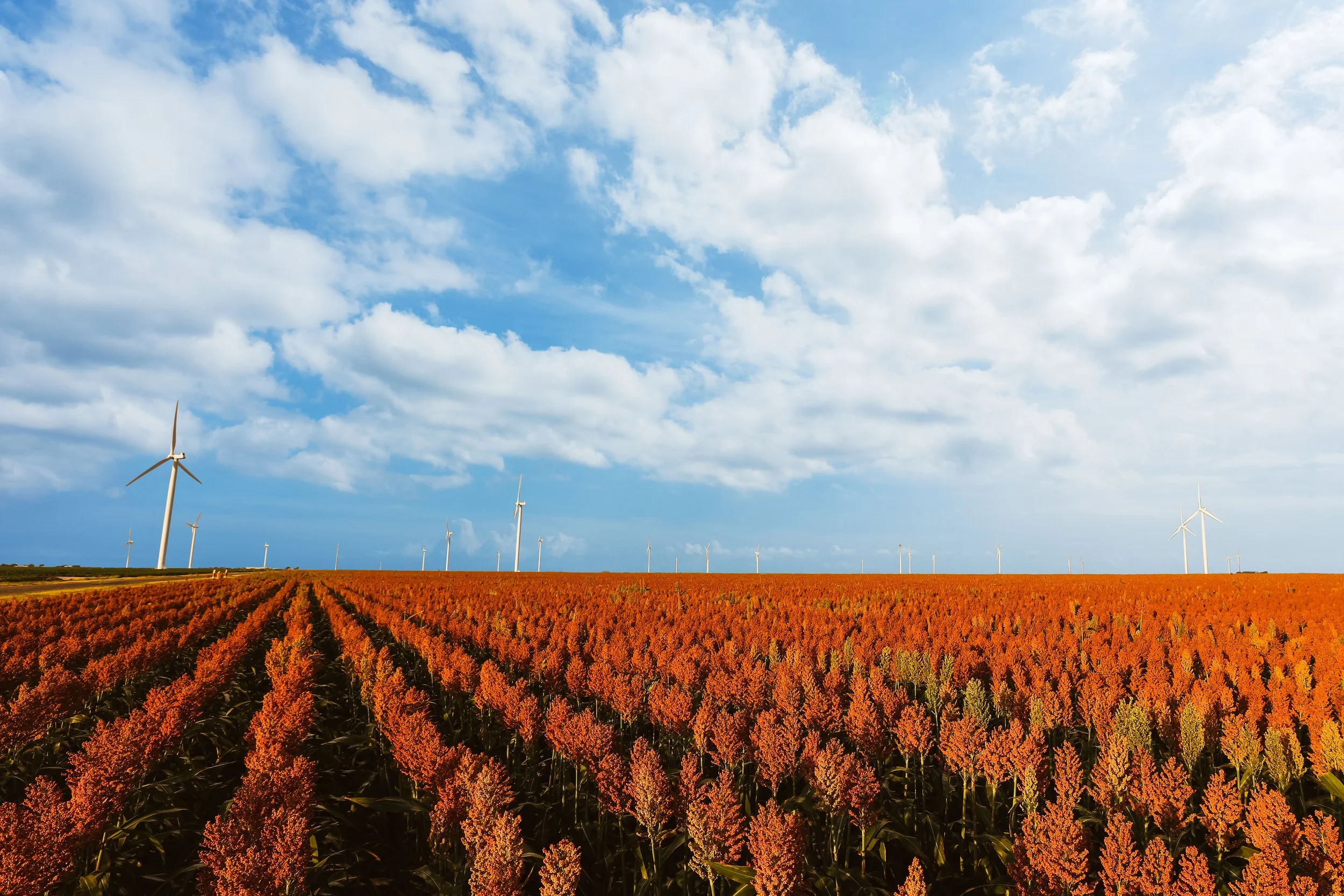 BB3A9097_sky_edit(1).jpg