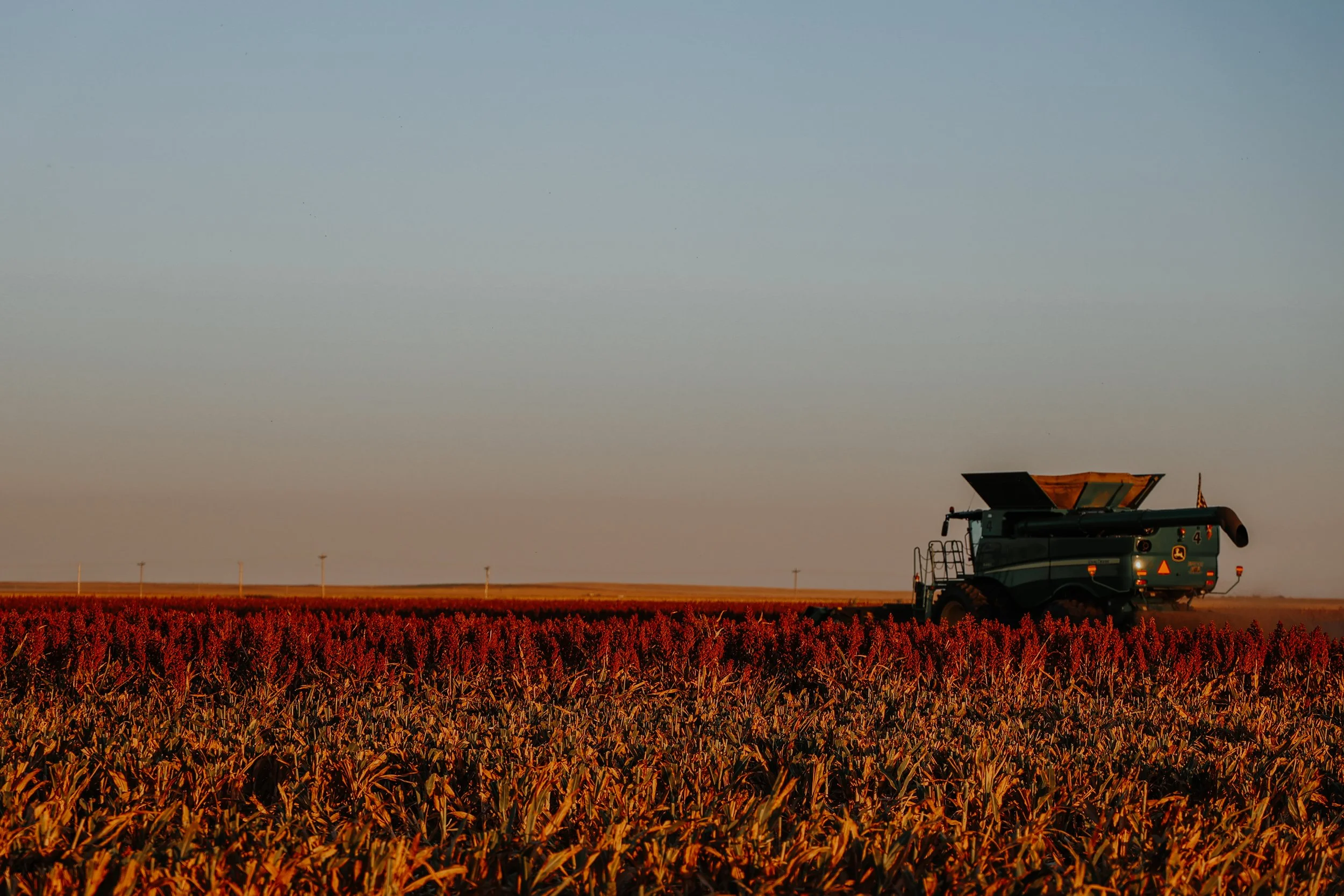 Berning Harvest 011.jpg