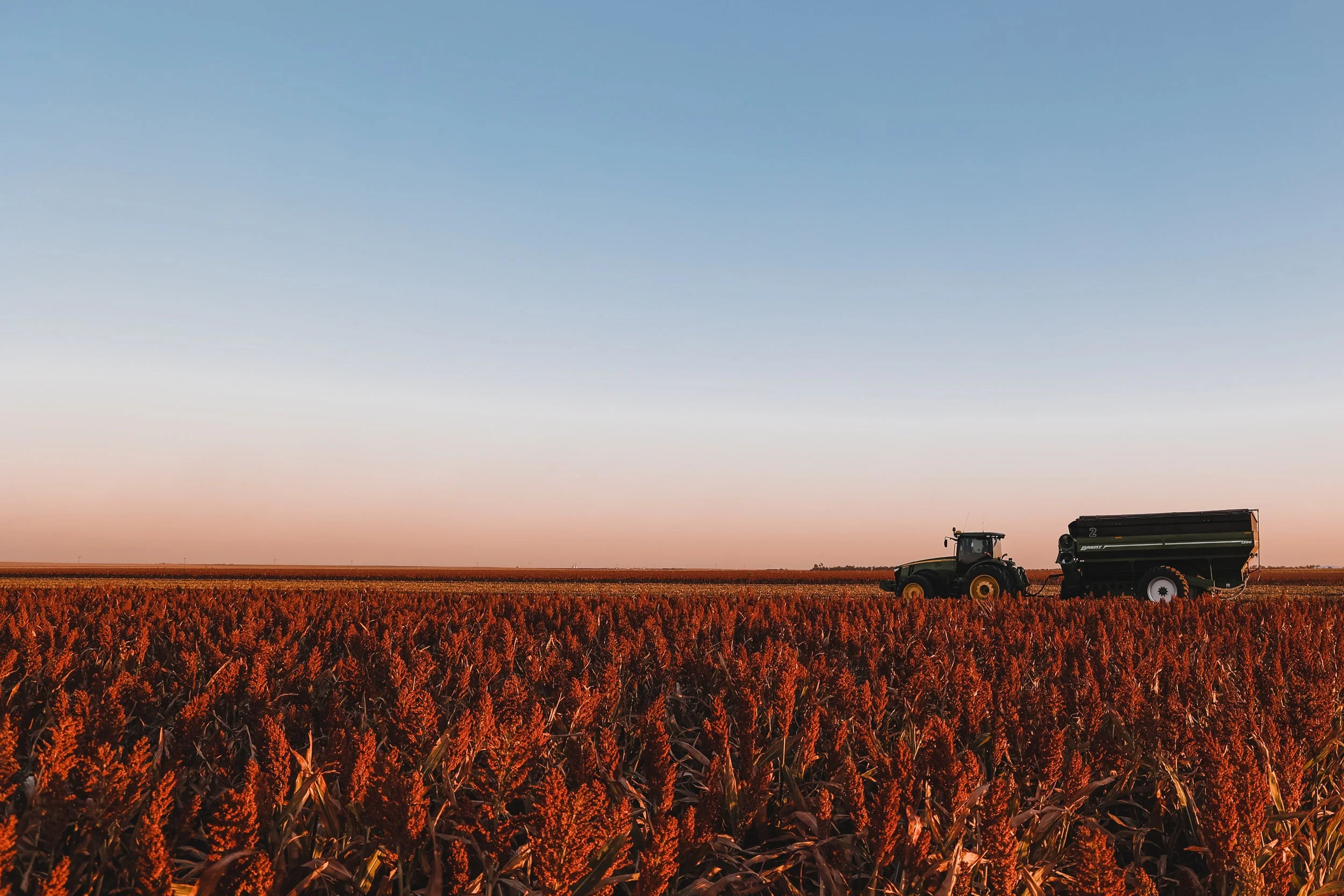 Berning Harvest 010.jpg