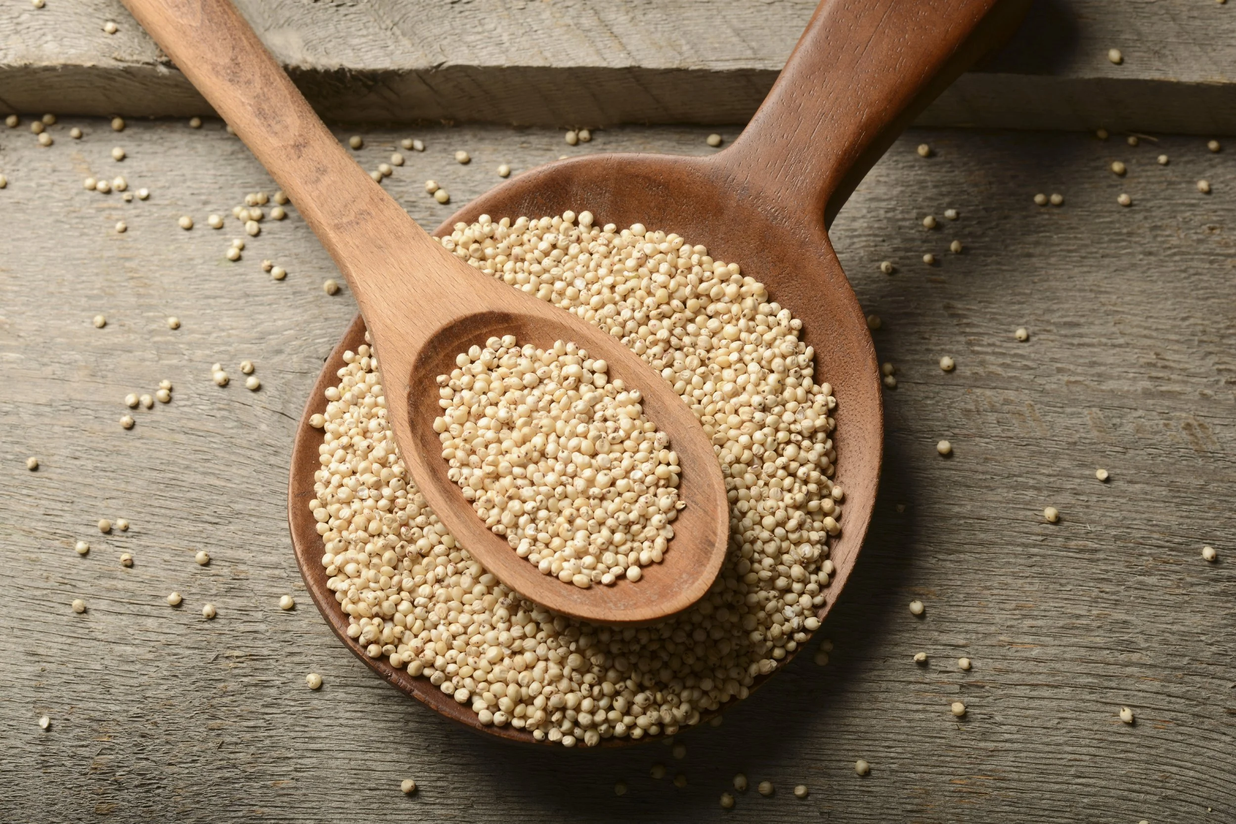 Sorghum.jpg