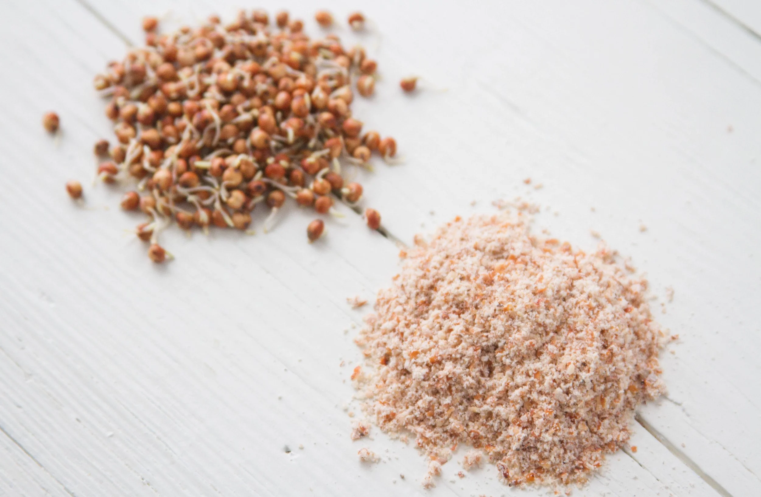 SproutedSorghum-6.jpg
