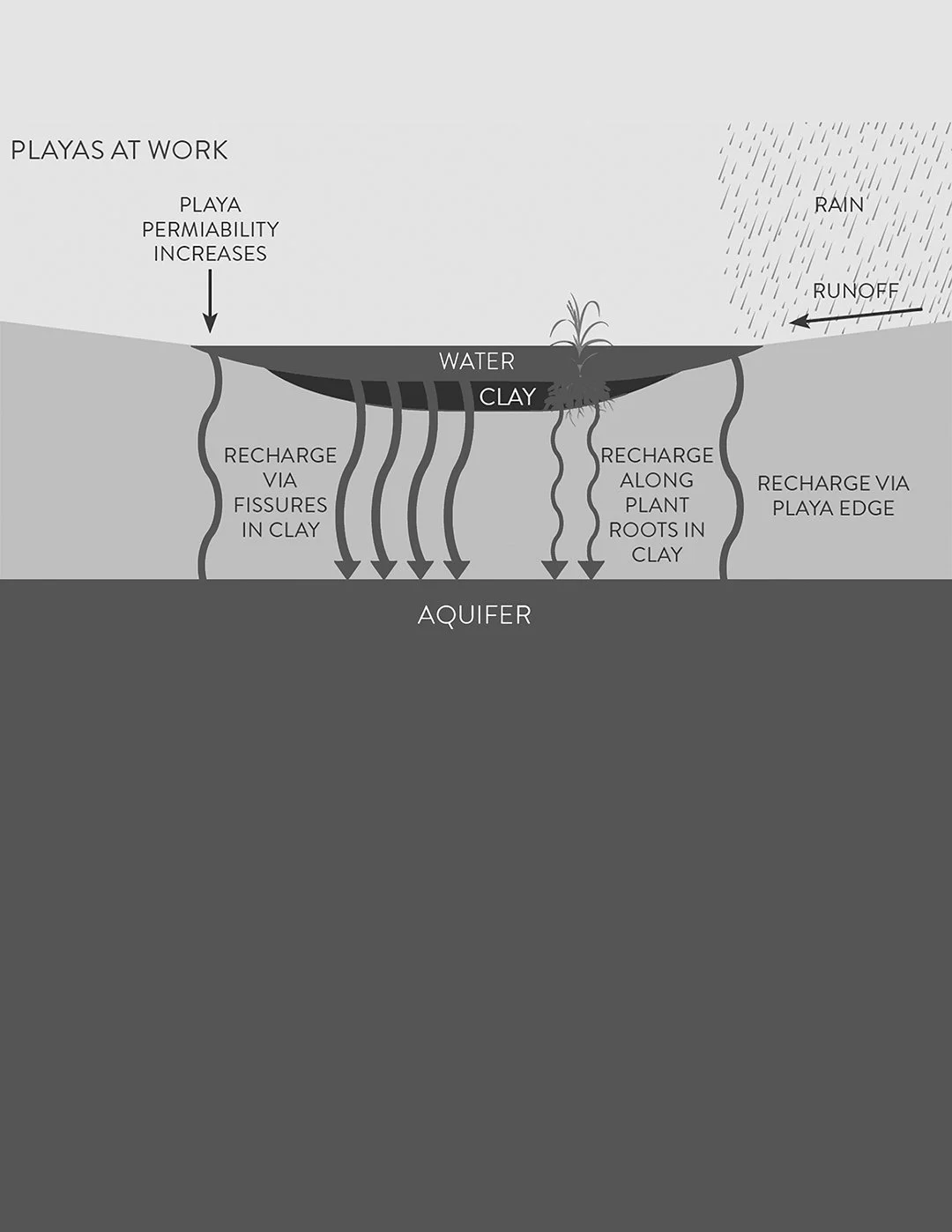 Carol_Flueckiger_Ogallala Commons Playa Wetland Diagram_photocopy, 11x8.5 copy.jpg
