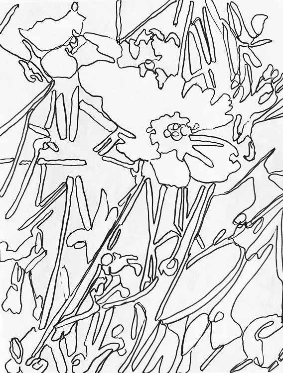 Unknown 2 copy.jpeg