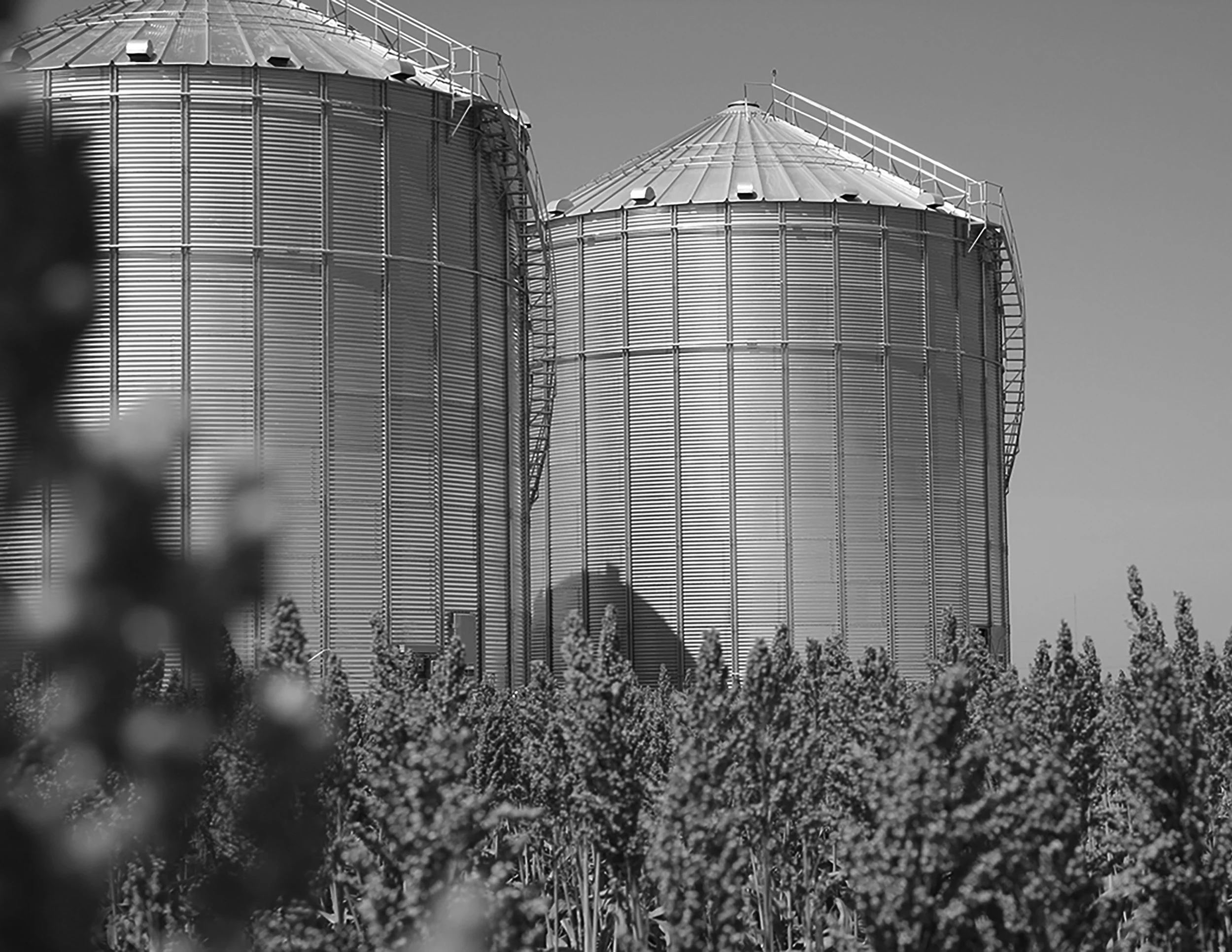 8.5x11BW 04.jpg