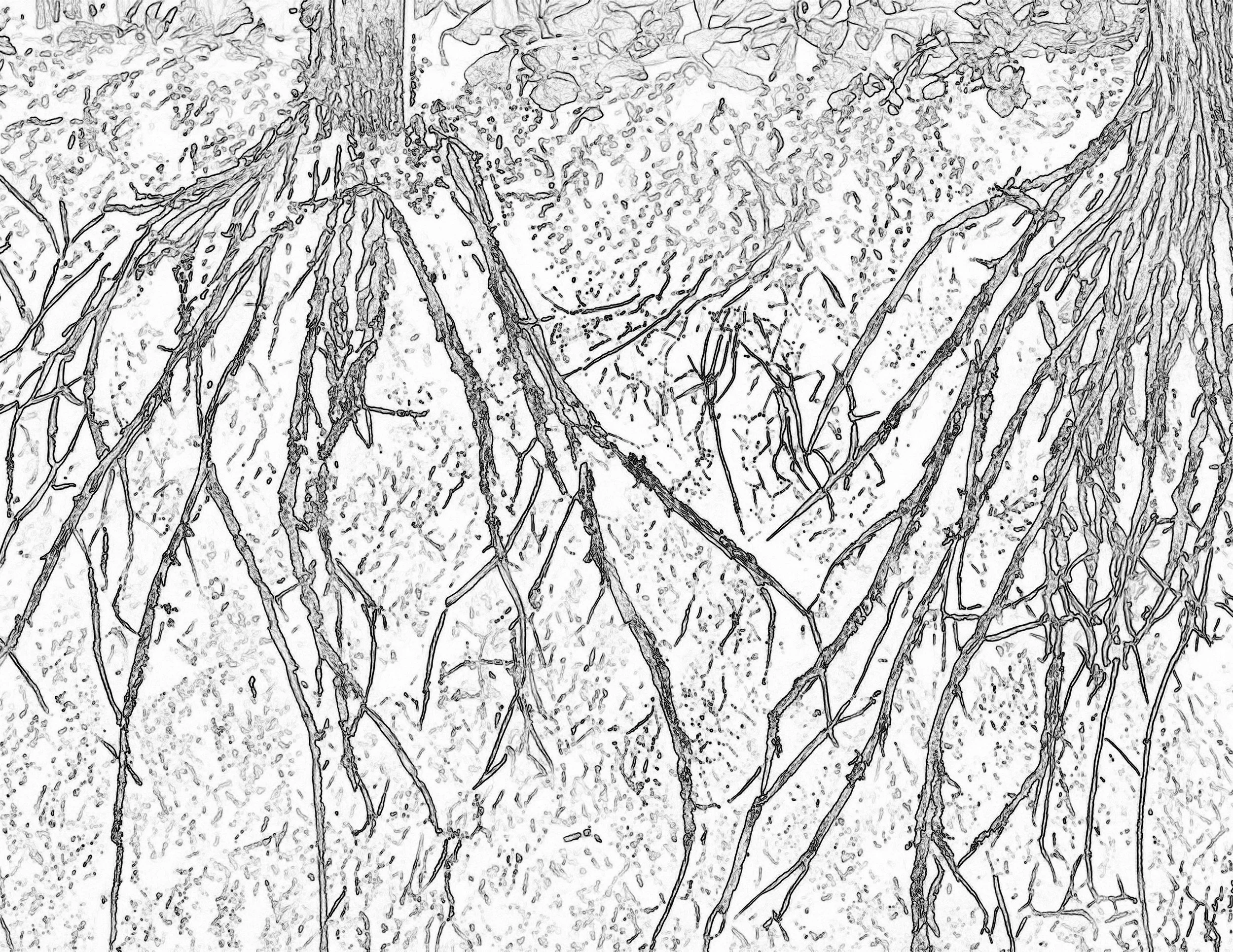 8.5x11 find edges 02.jpeg