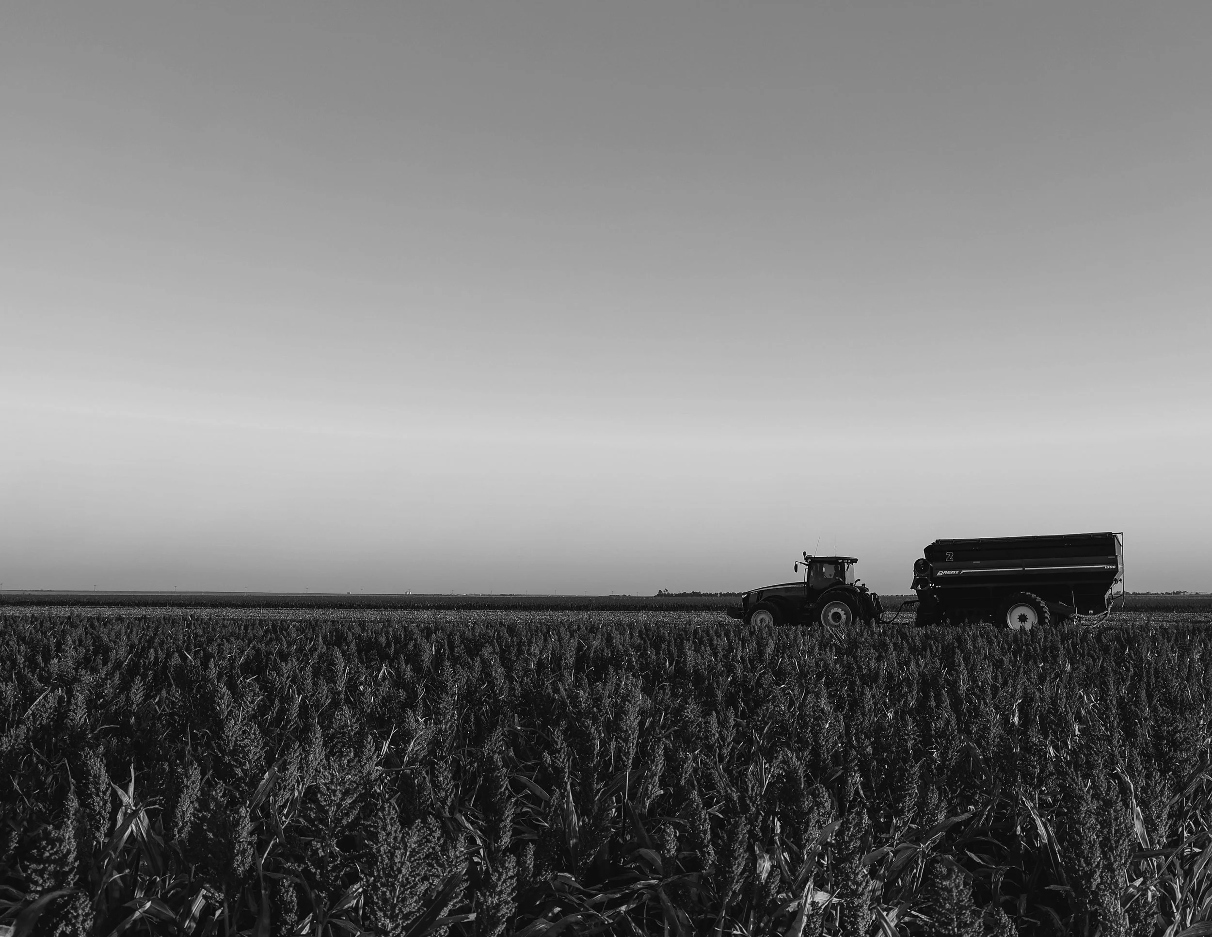 8.5x11 BW03.jpg