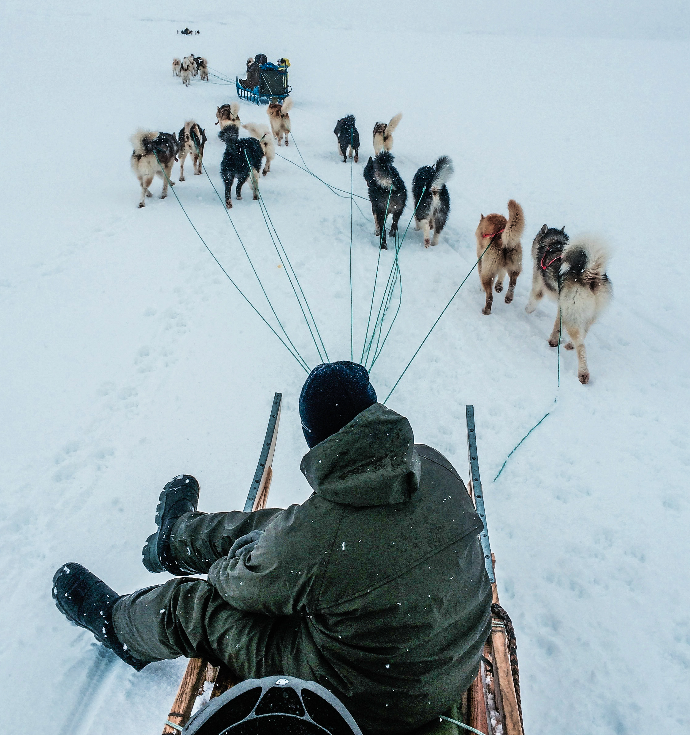 Greenland - A journey inside Inuit hunting culture