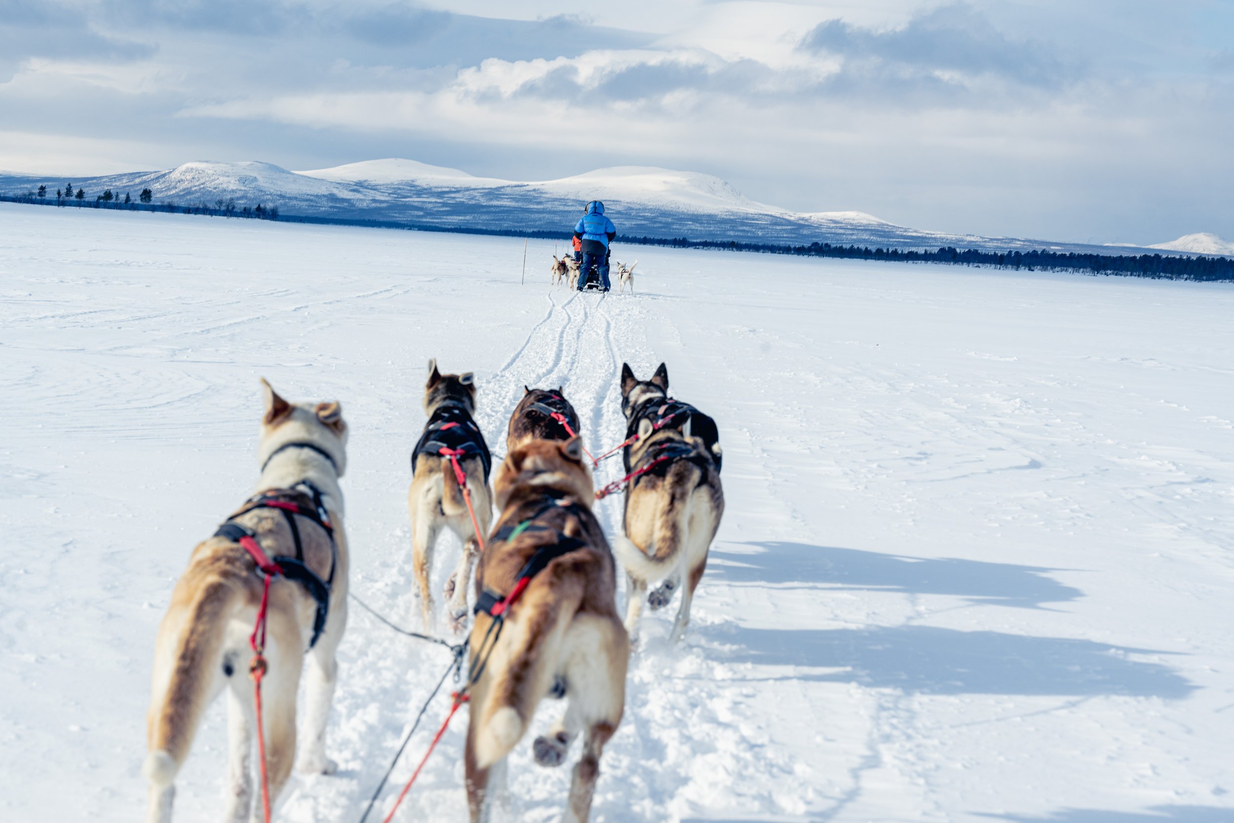 Fjallraven Polar Sweden Dogsledding 4.jpg