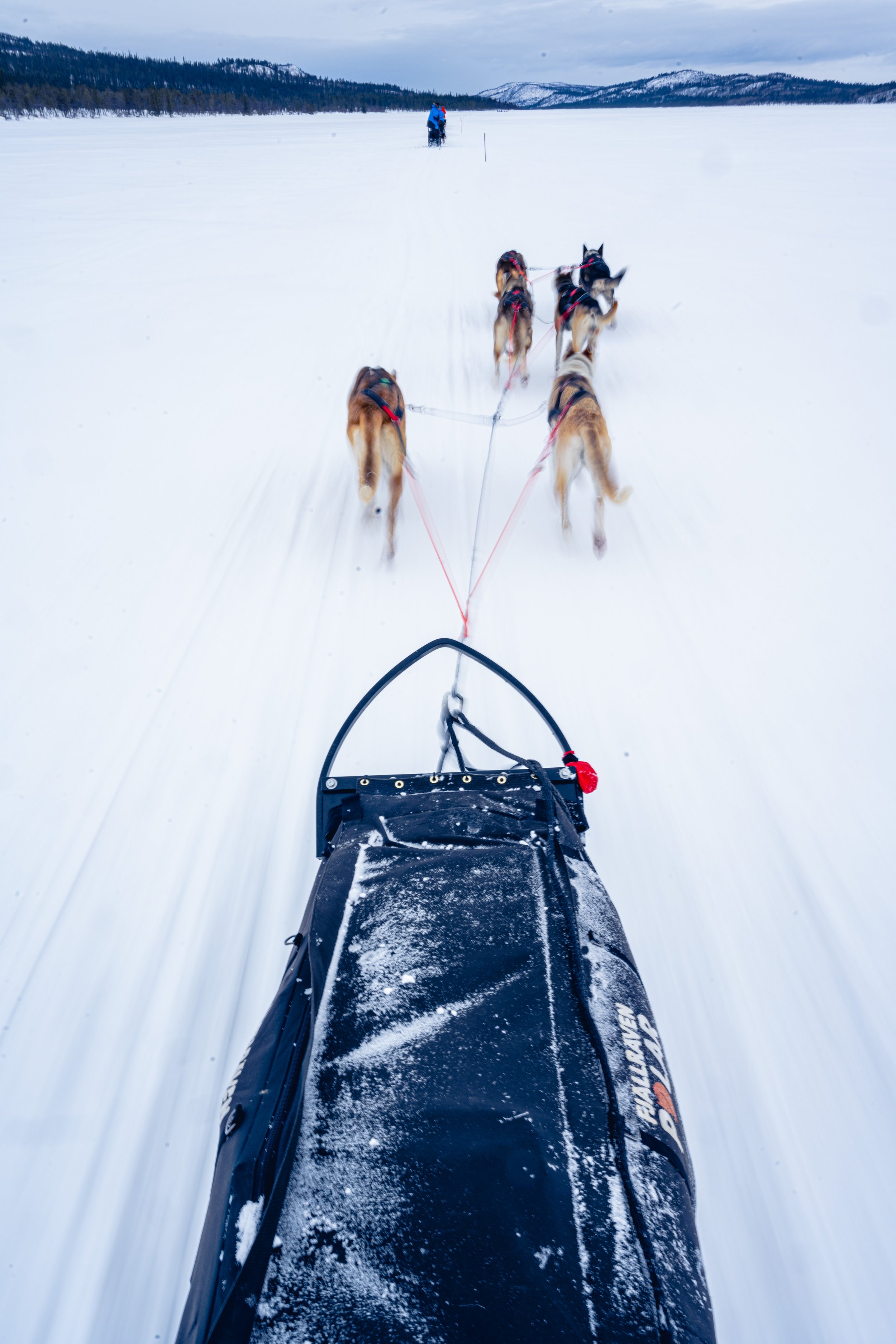 Fjallraven Polar Sweden Dogsledding 5.jpg