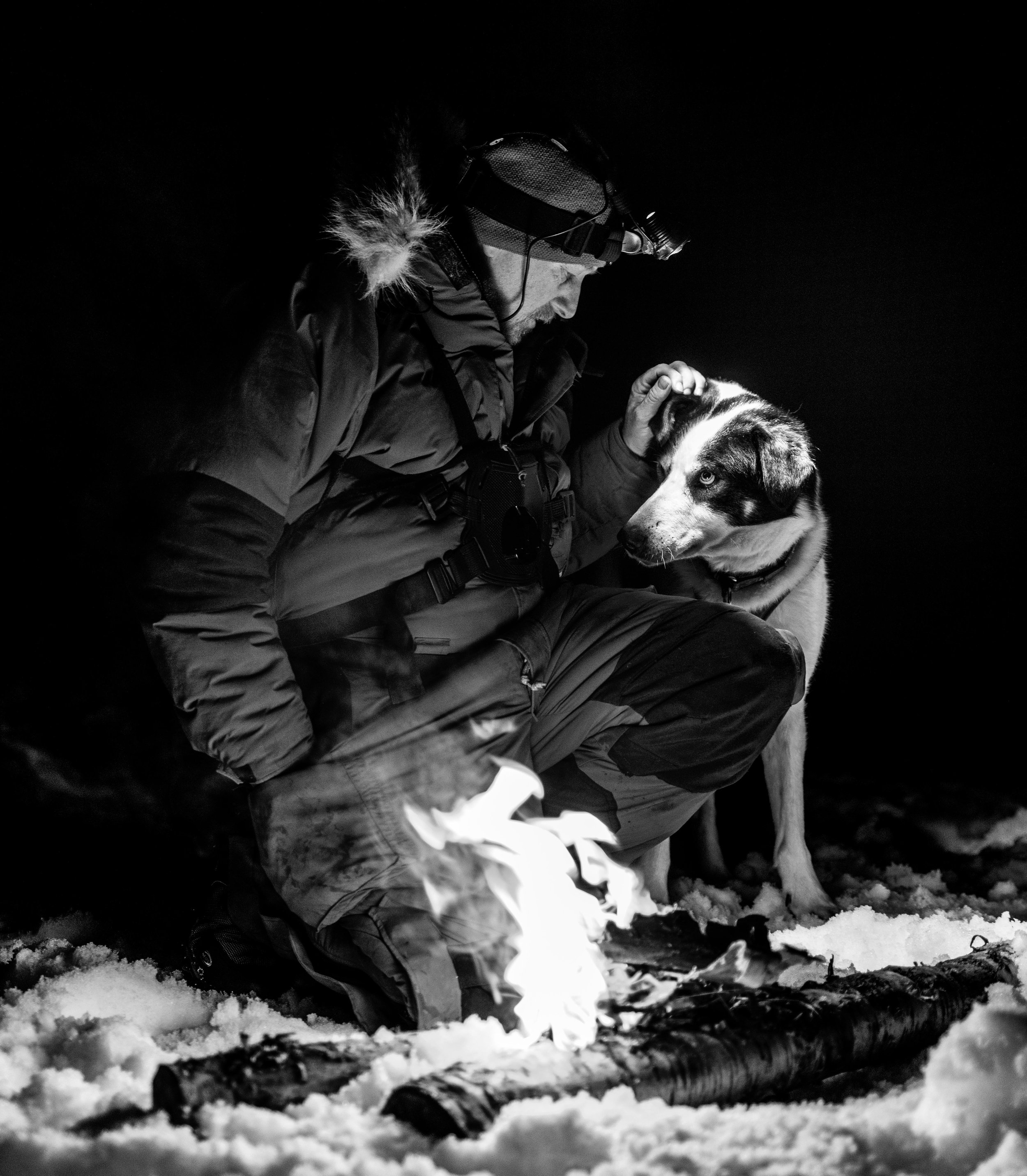 Dog Sledding Alaskan Huskies Sweden.jpg