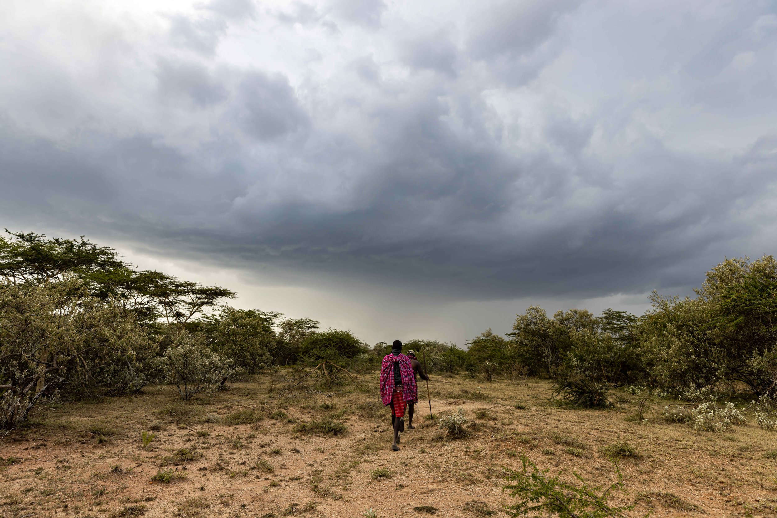 Walking with the Maasai - Loita Plains, Africa (2023)