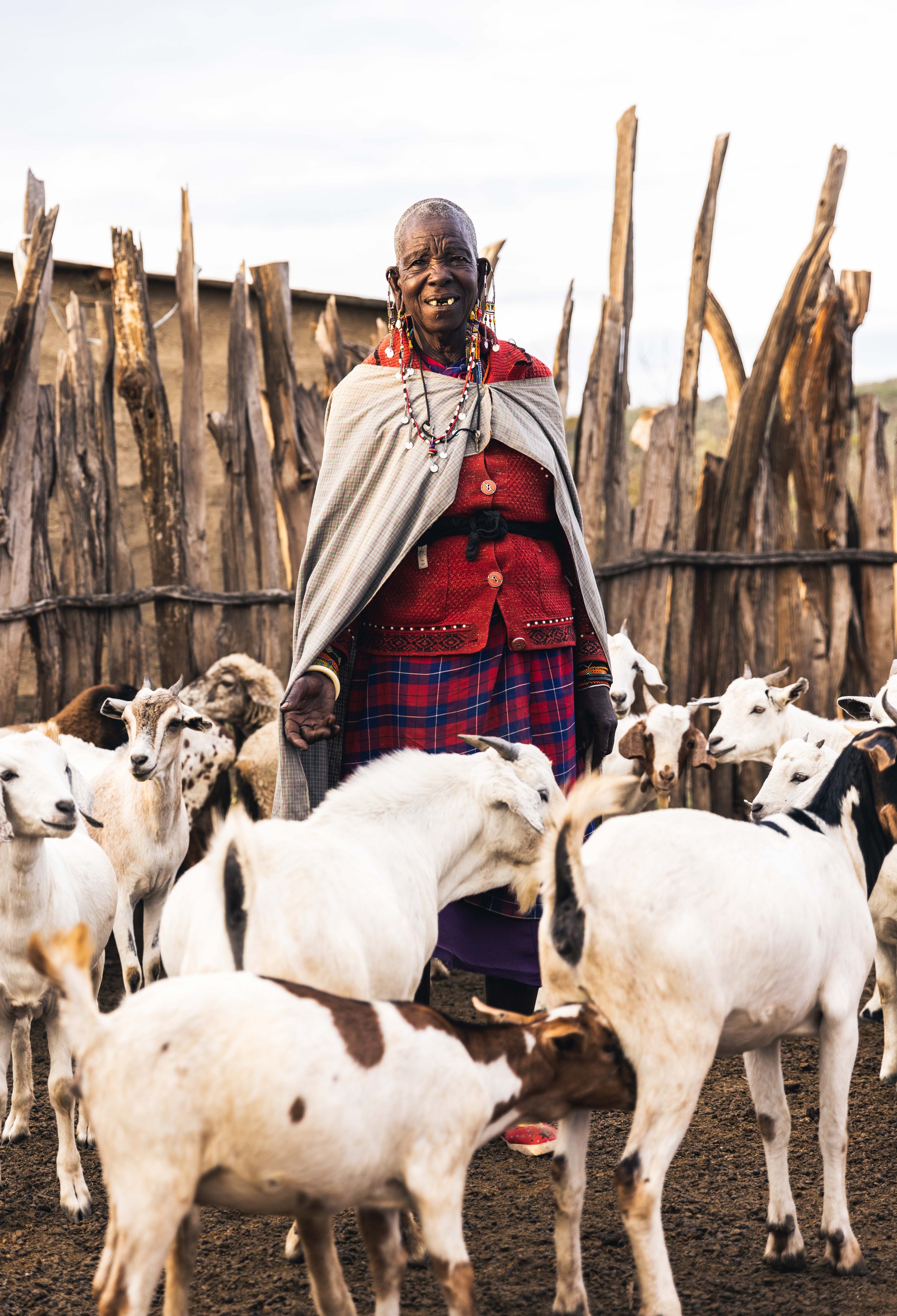 Walking with Maasai Warriors Maasai Mara Spear Throw Cattle Africa 1.jpg