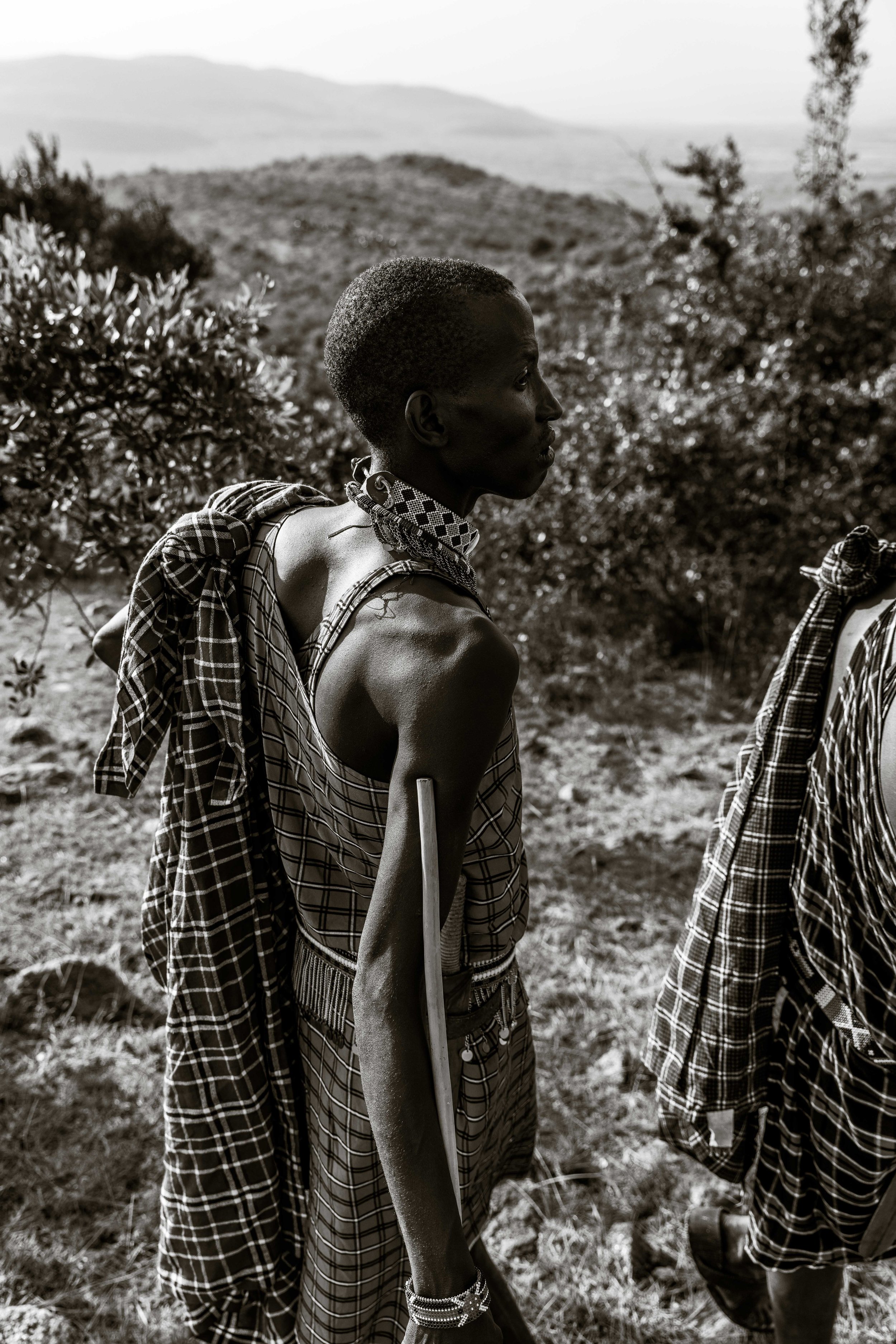 Walking with Maasai Warriors Maasai Mara Spear Throw Cattle Africa 2.jpg