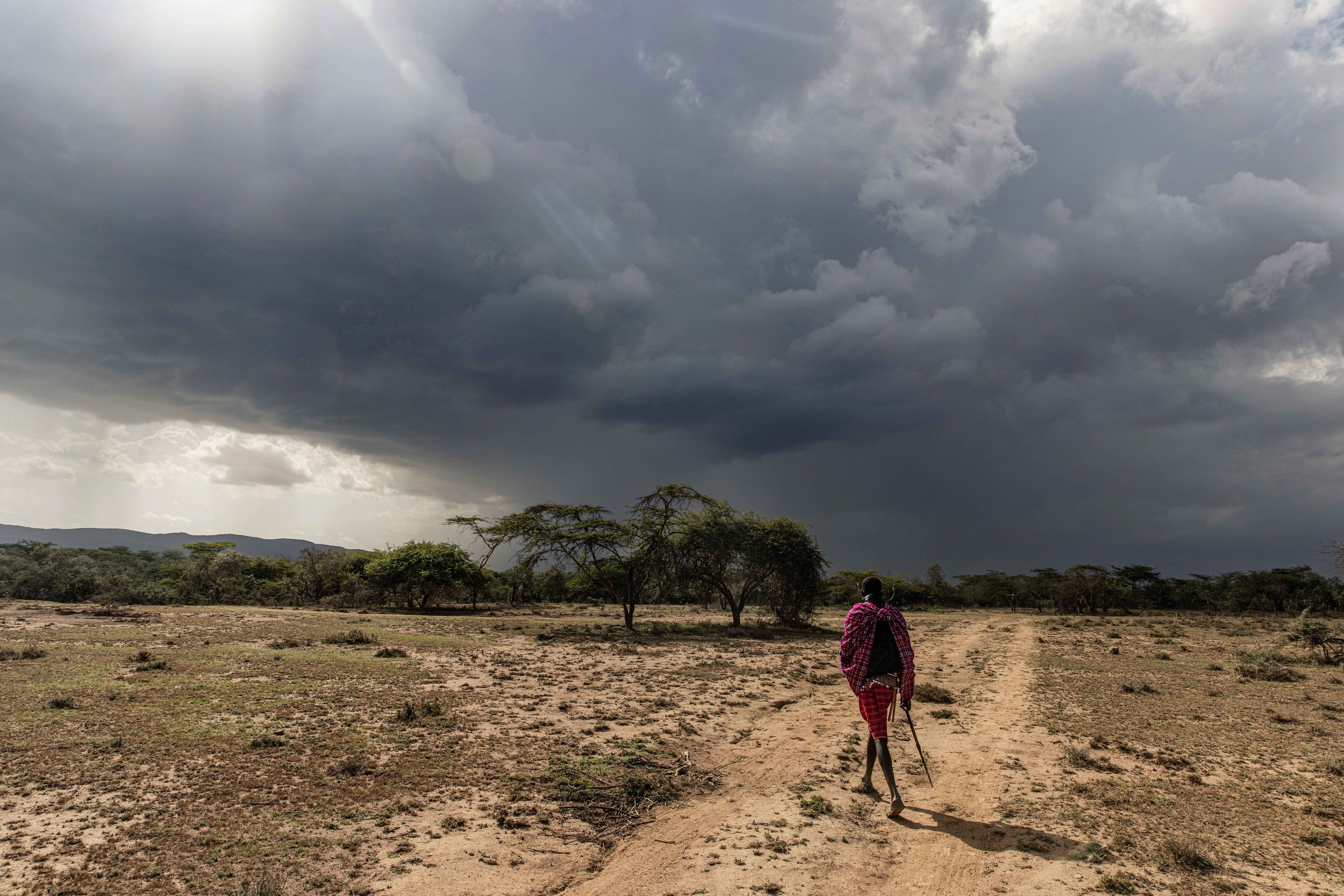 Walking with Maasai Warriors Maasai Mara Spear Throw Cattle Africa 9.jpg
