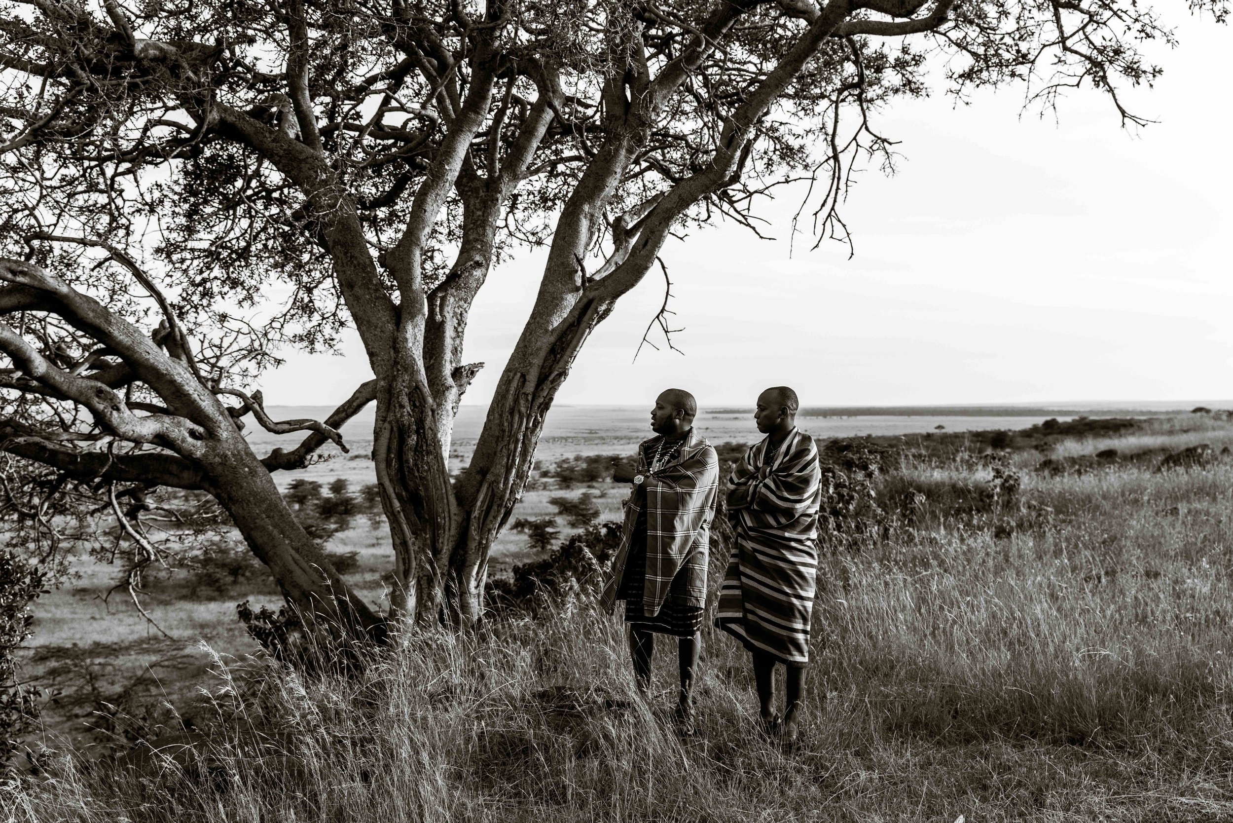 Walking with Maasai Warriors Maasai Mara Spear Throw Cattle Africa 13.jpg